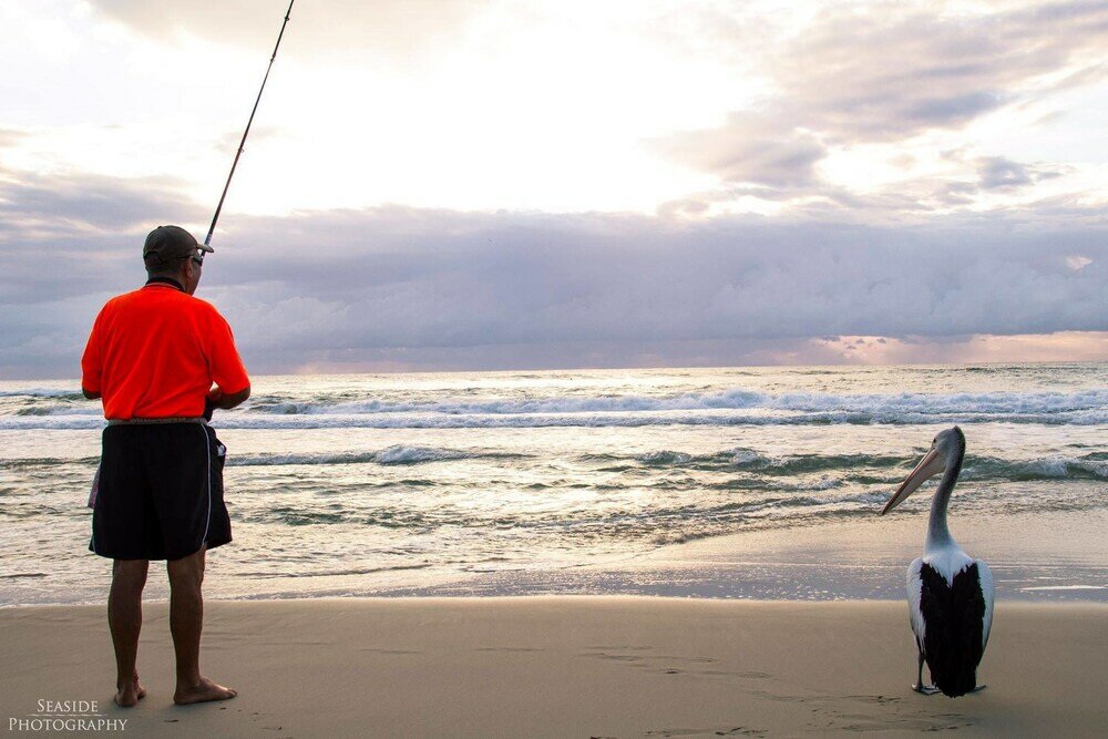 Фото Chidori Court
