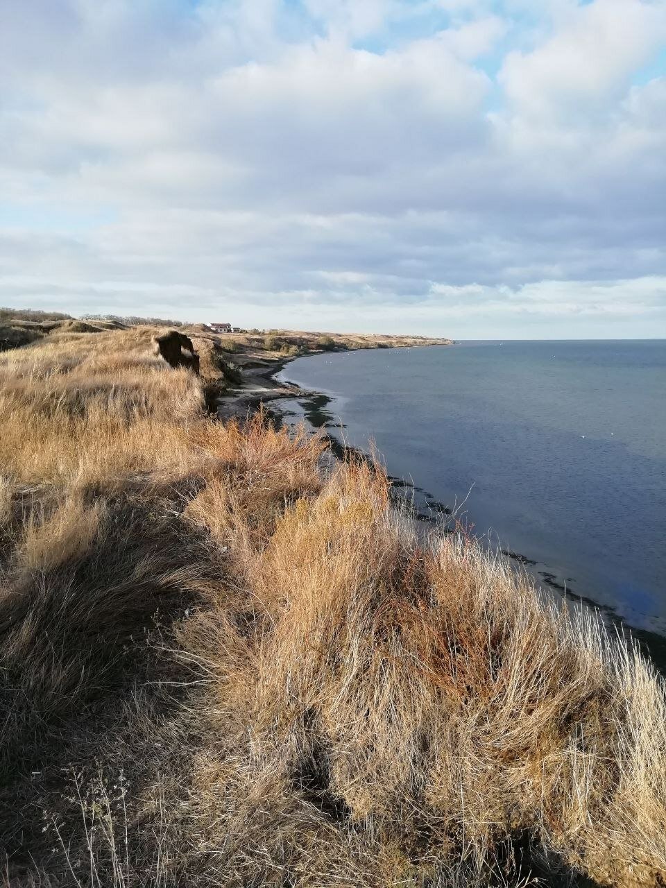 Фото На заливе