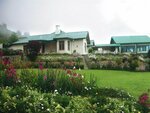 Tea Bush Hotel - Nuwara Eliya