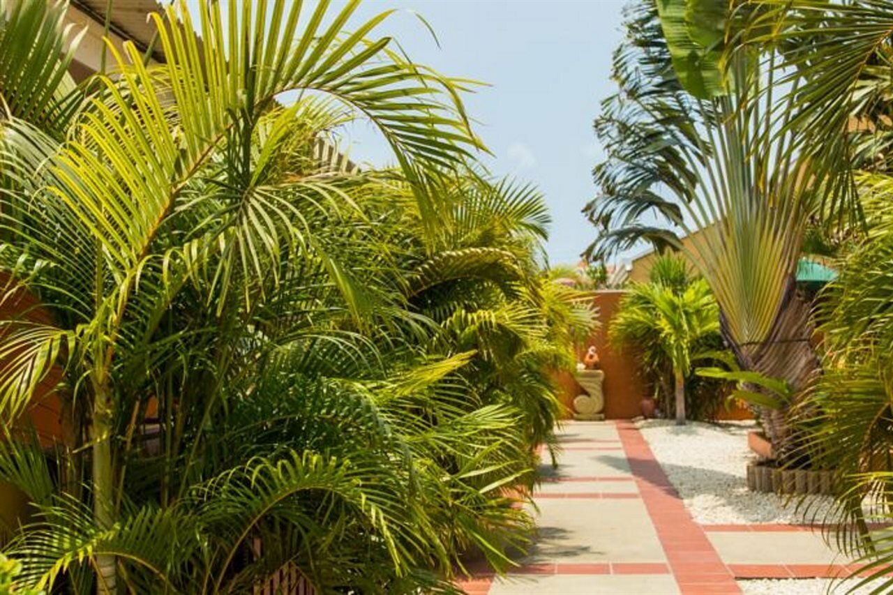 Фото Cariñas Studio Apartments