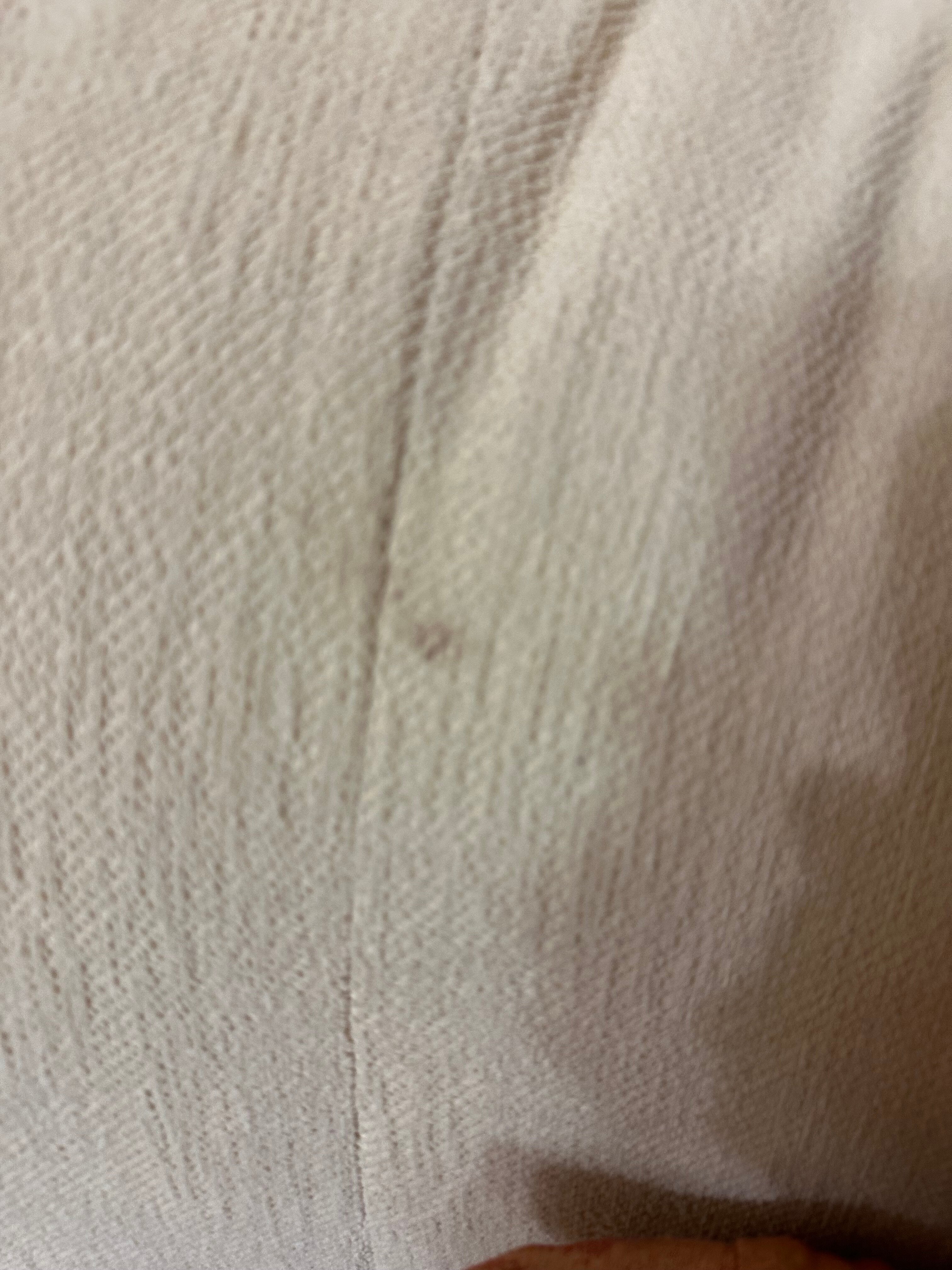 Фото Светлица