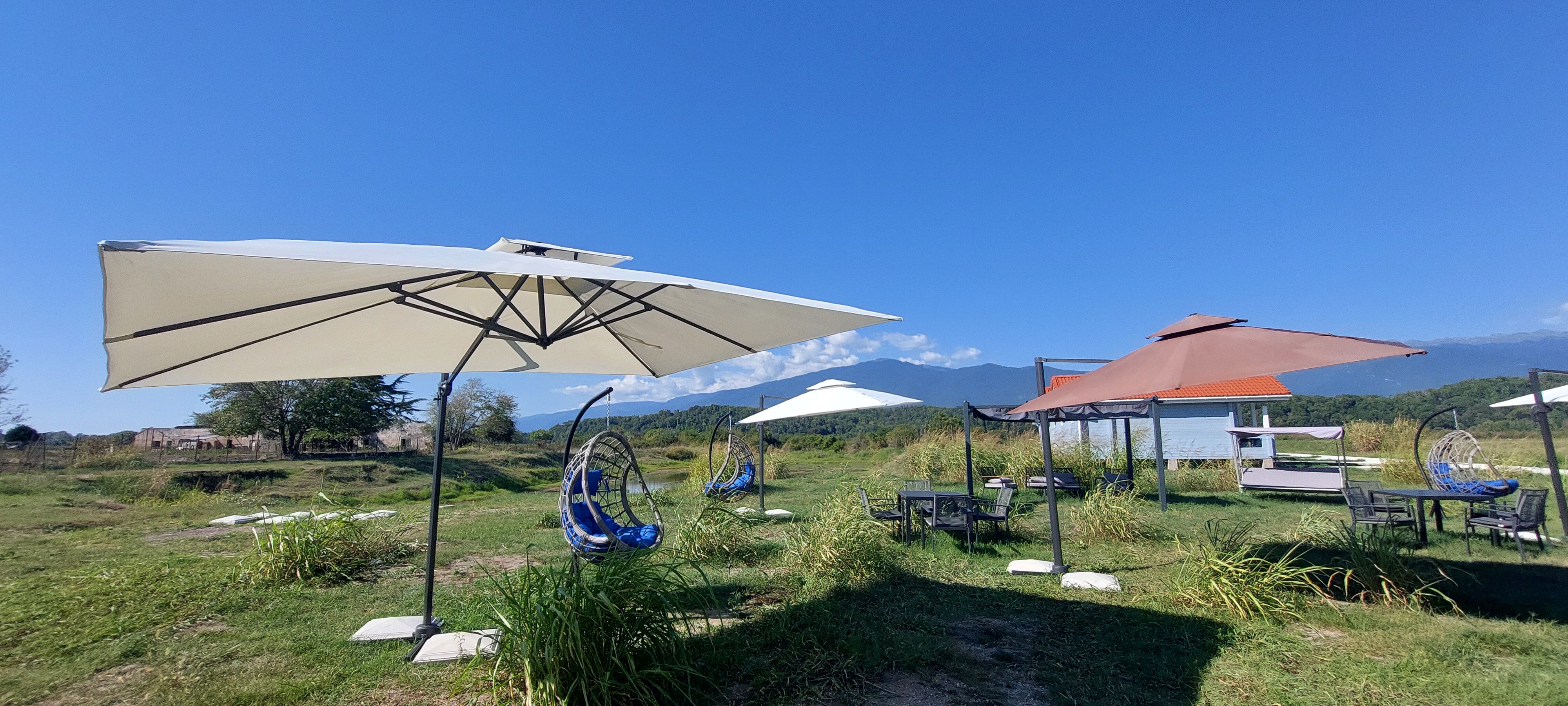 Фото White Horse