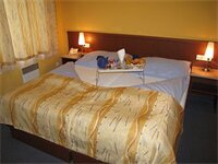 Фото Aparthotel Austria Suites