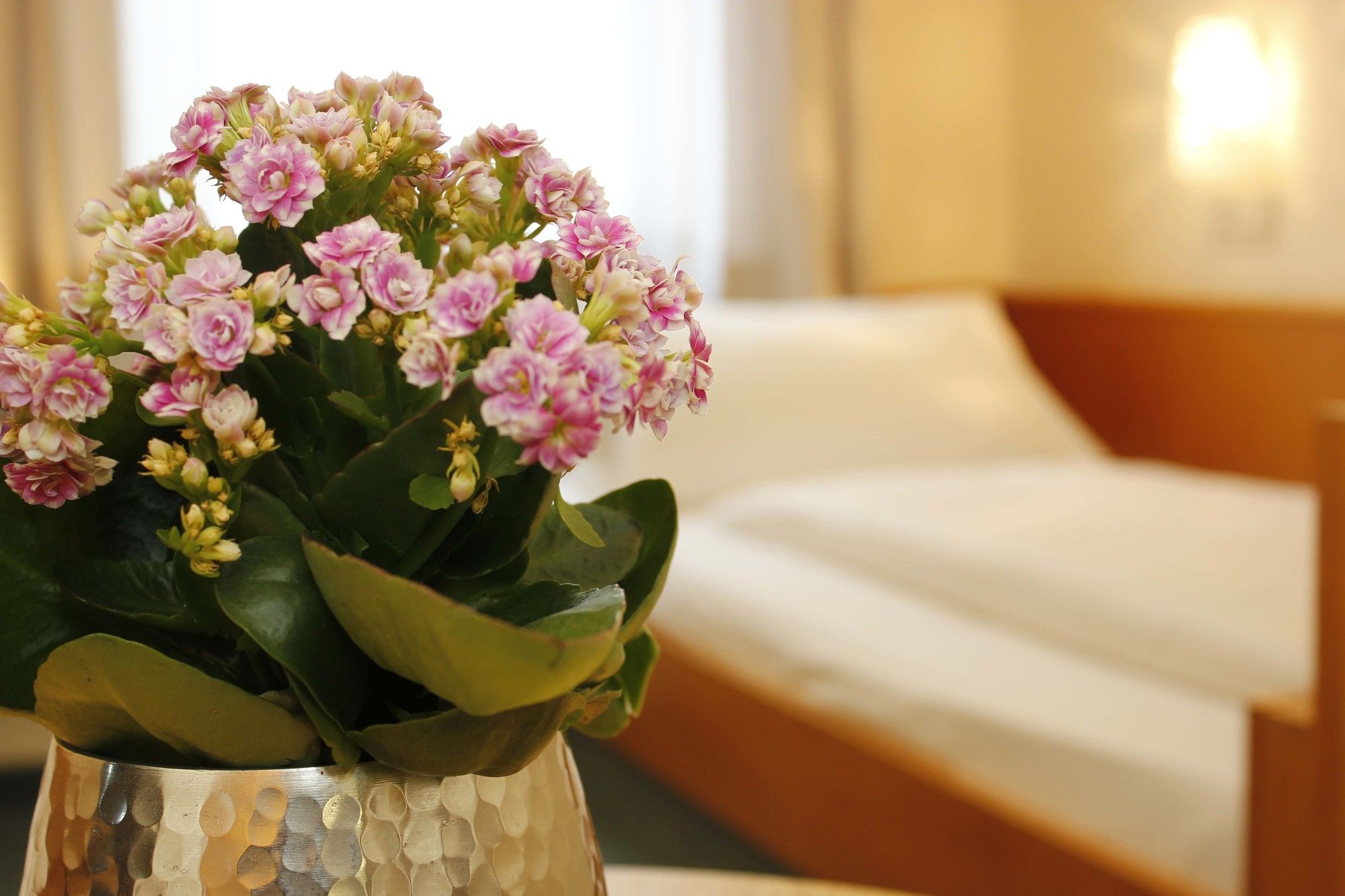 Фото City Hotel Würzburg