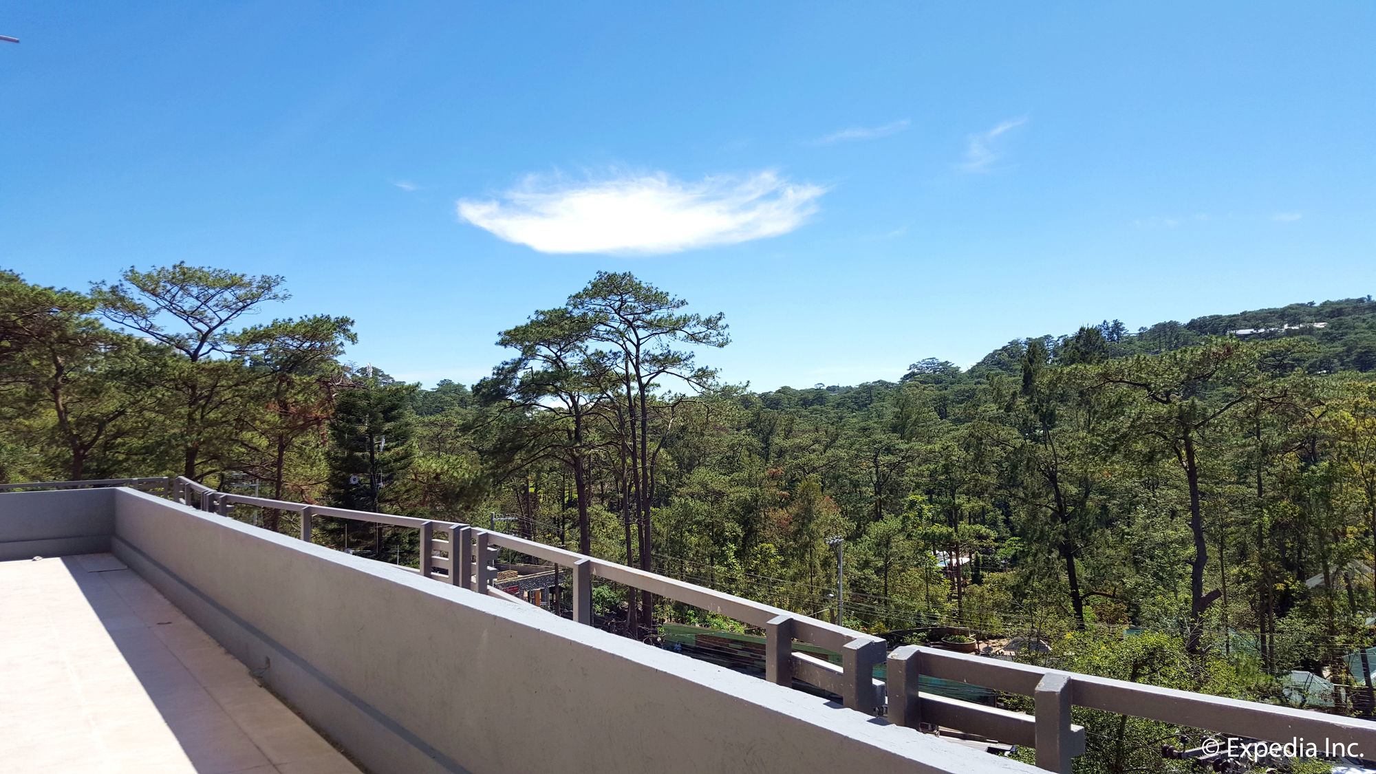 Фото Newtown Plaza Hotel