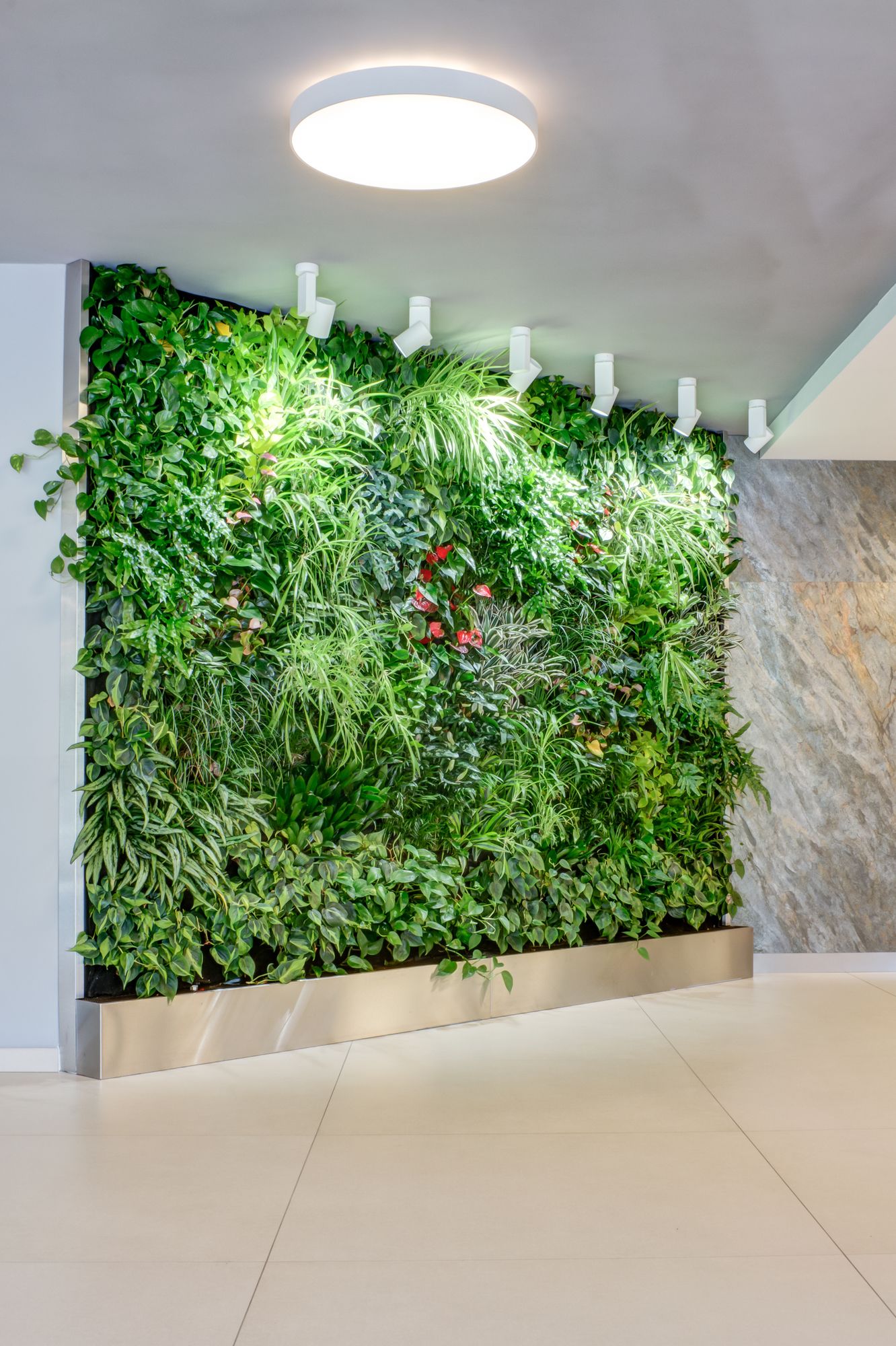 Фото Best Western Hotel Vista