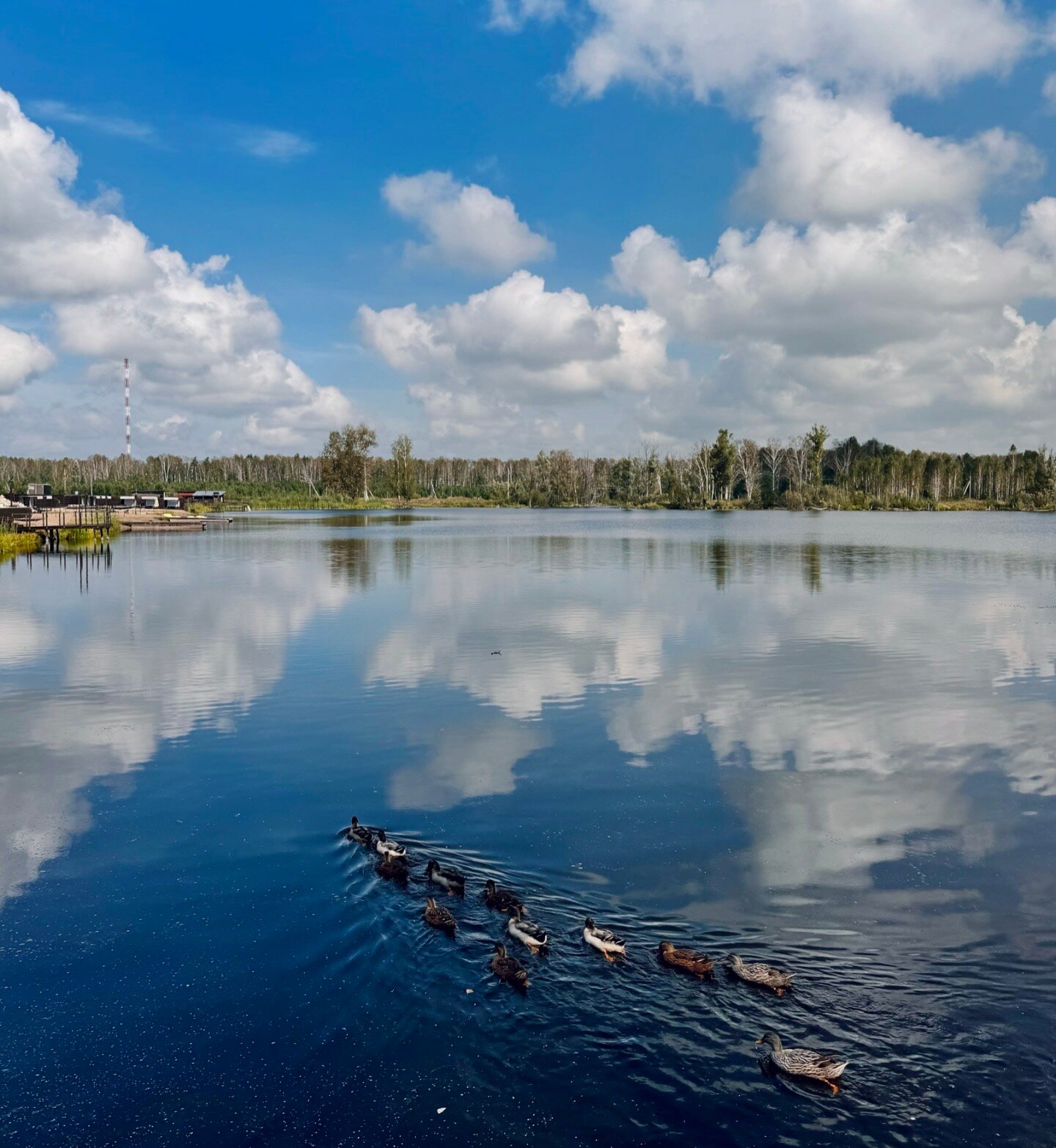 Фото Лаки Глэмпинг