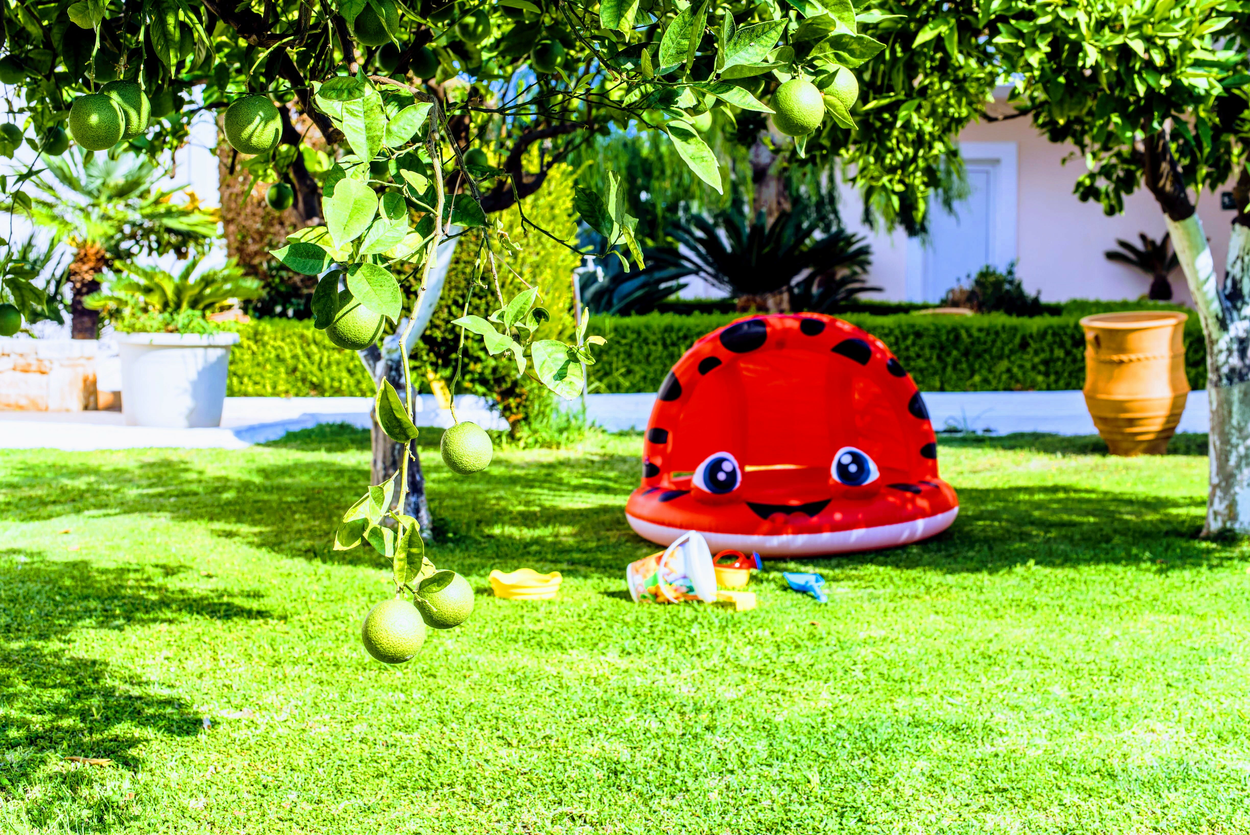 Фото Yiannis Manos