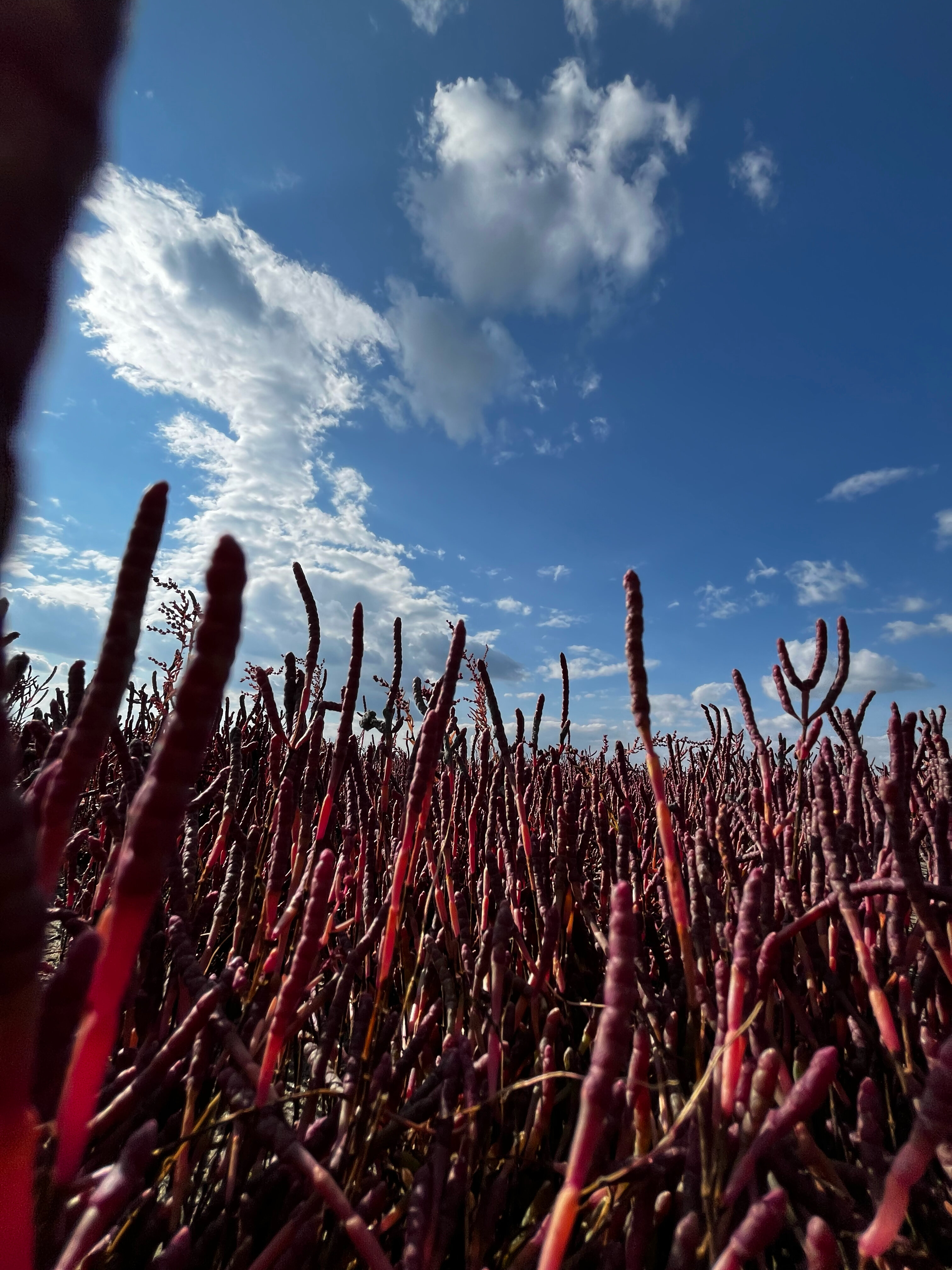 Фото Медвежий угол