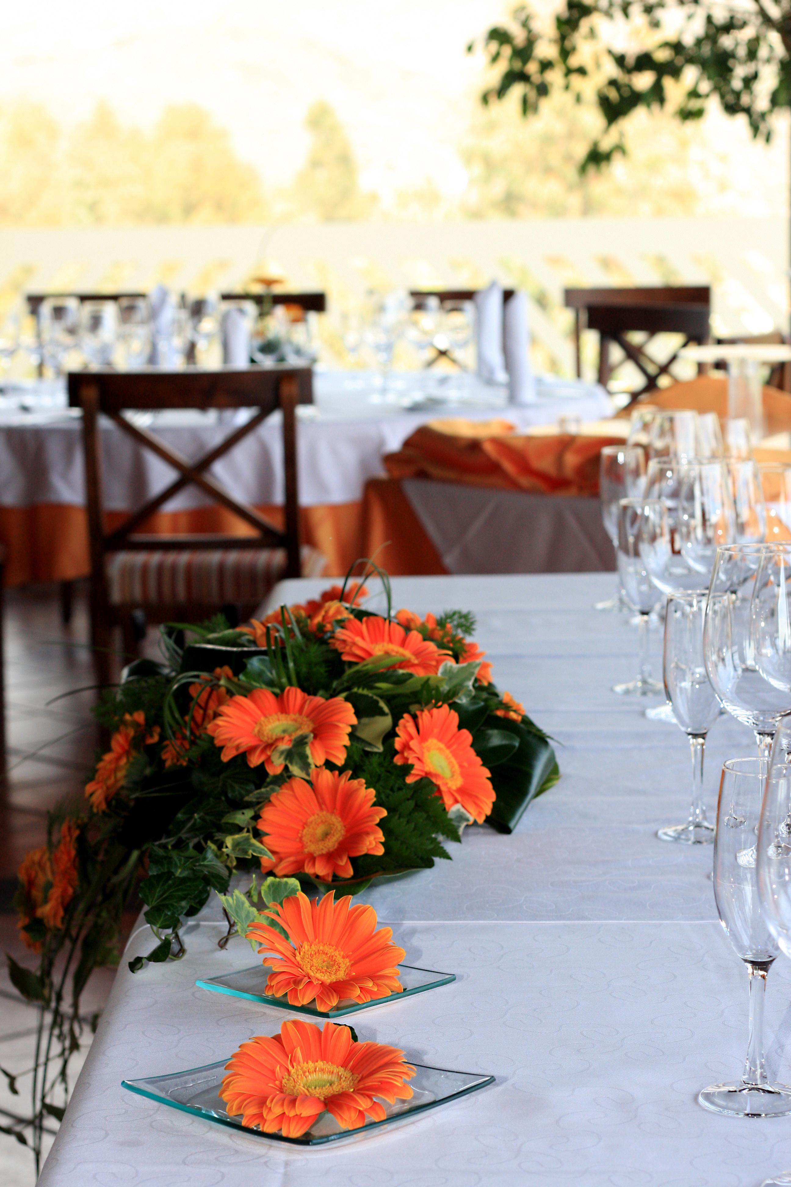 Фото Hotel Las Tirajanas