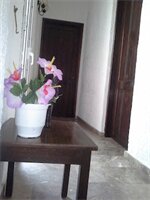 Фото Despina Hotel