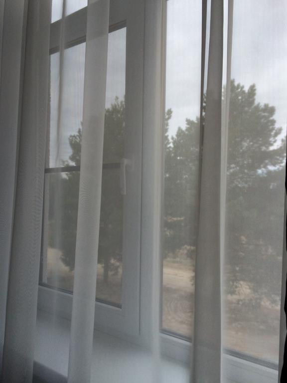 Фото Лесная