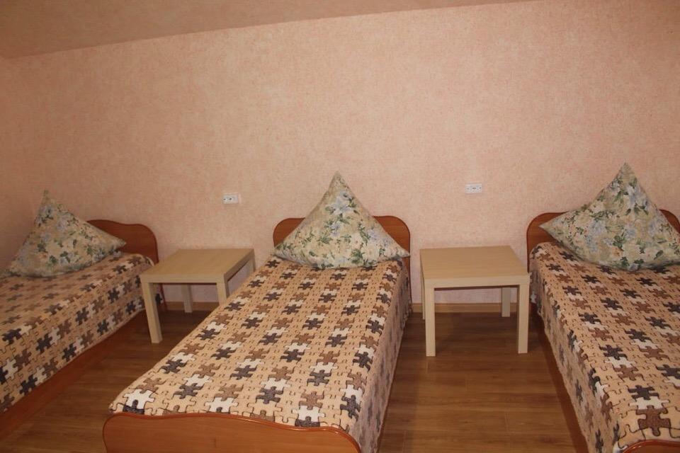 Фото Путник