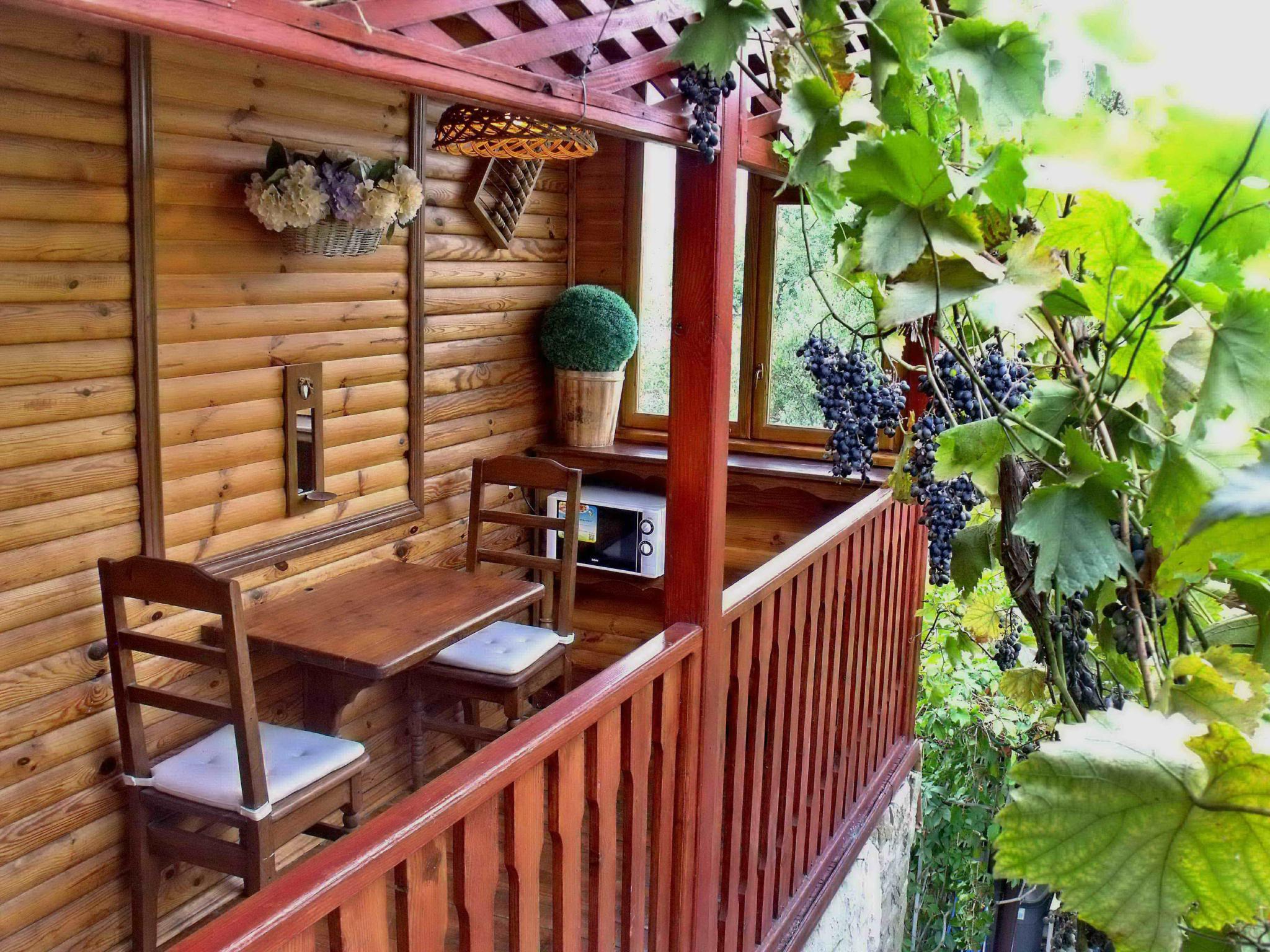 Фото Триера