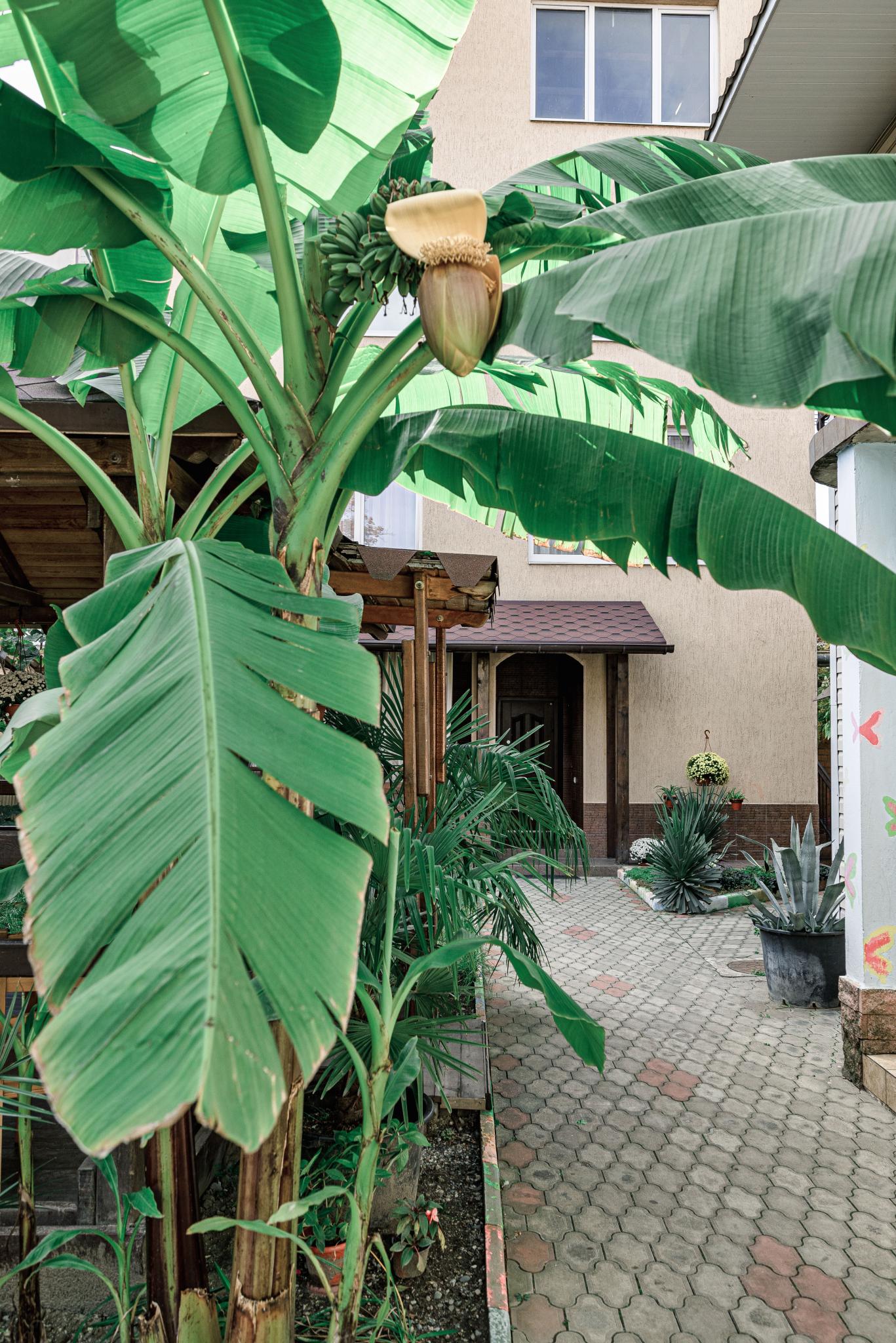 Фото Прованс