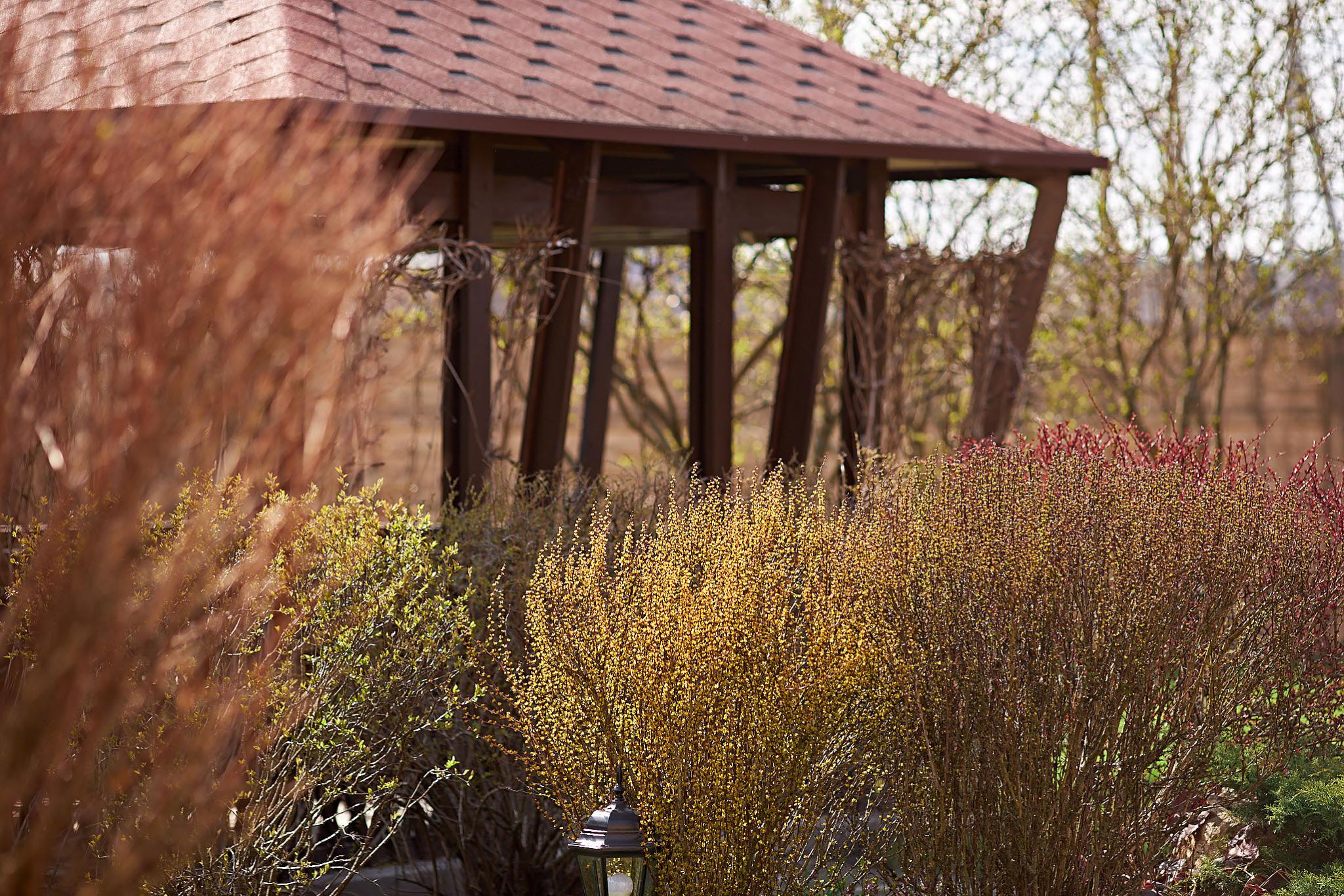 Фото Криница