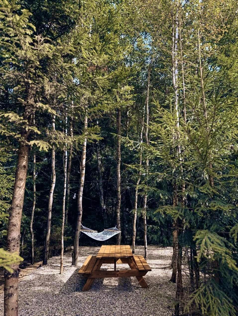 Фото Таймлесс