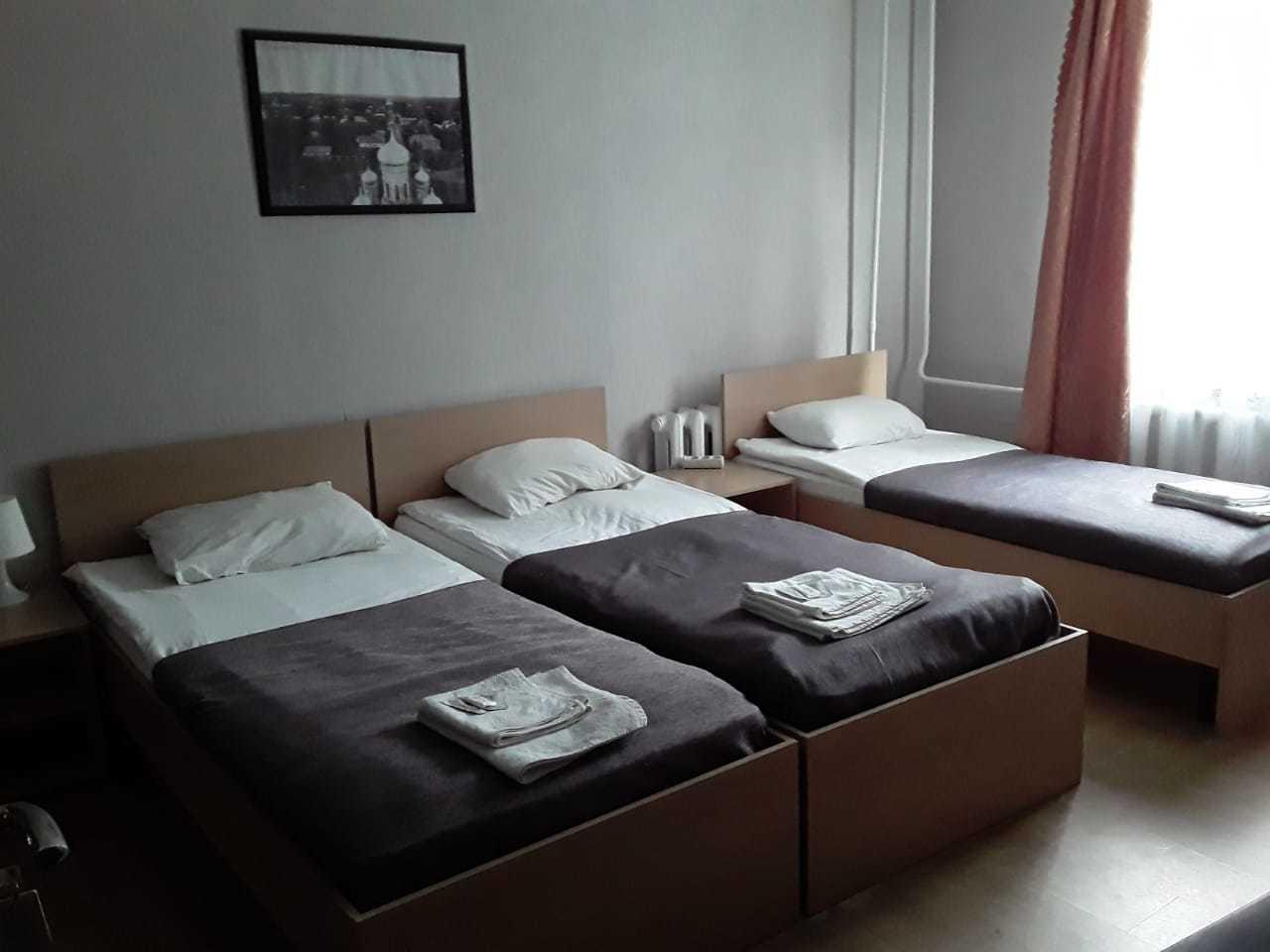 Фото Базилик