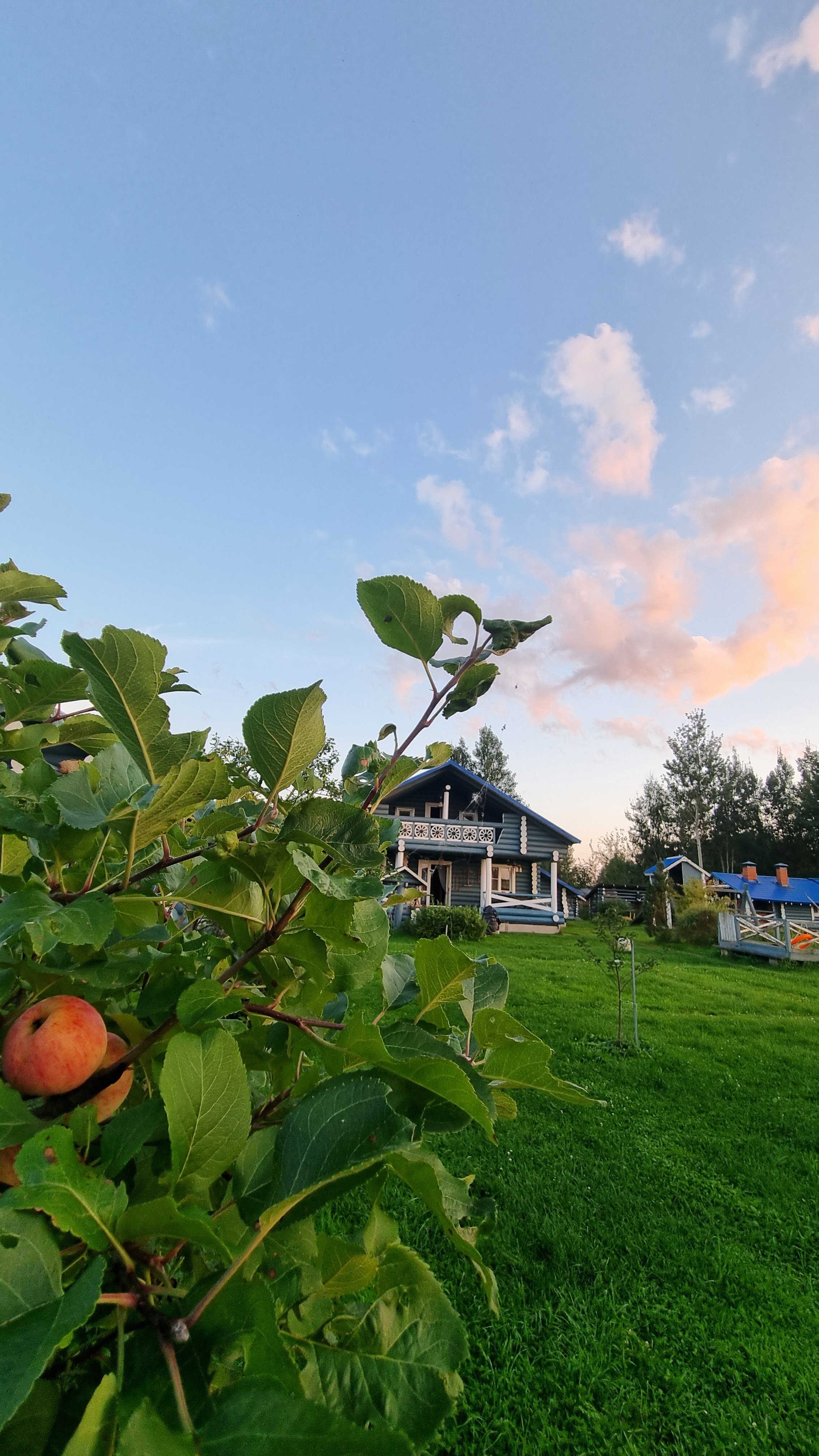 Фото Просто Квашино