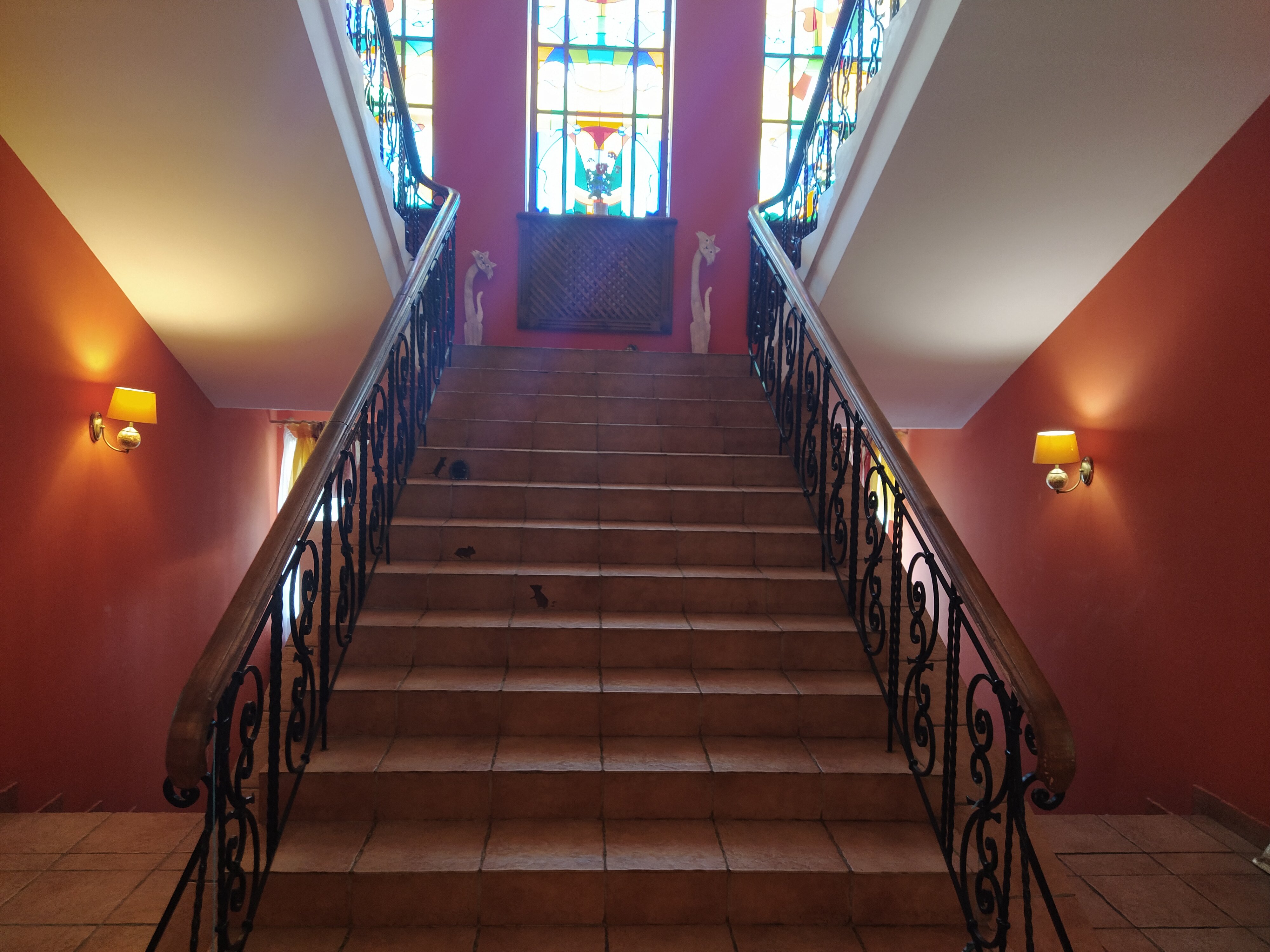 Фото Кошкин Дом