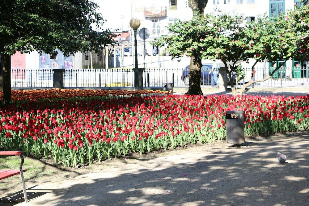 Фото 43313495385