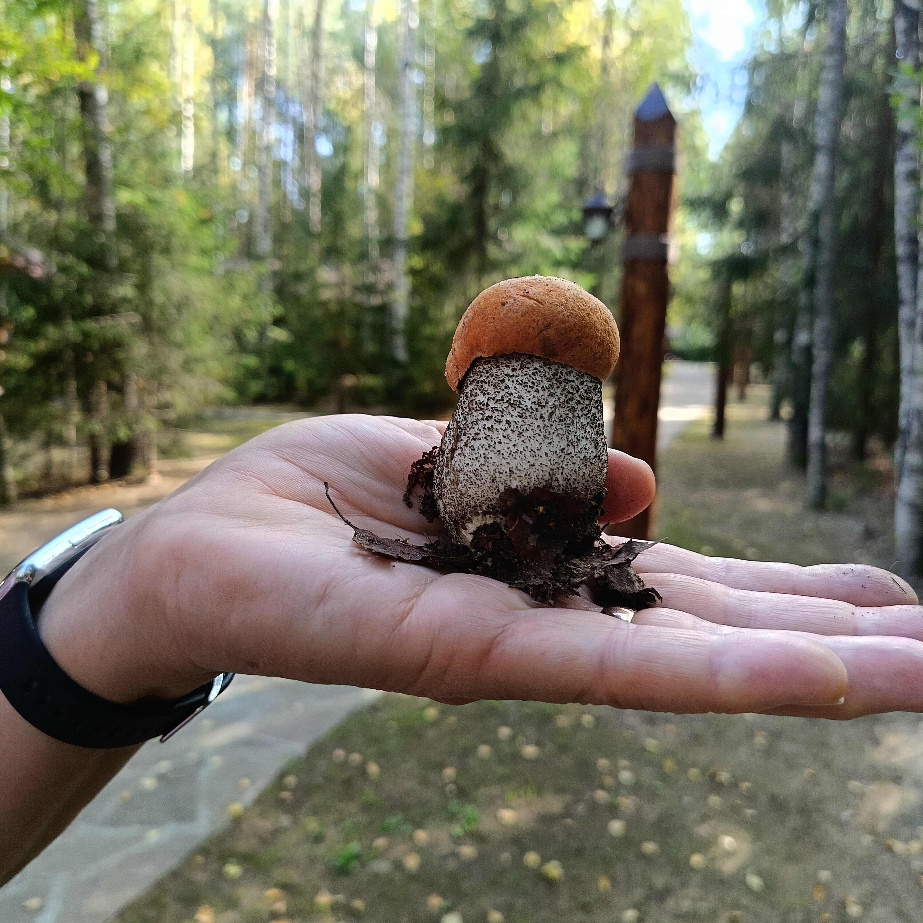 Фото Селигерское Заплавье
