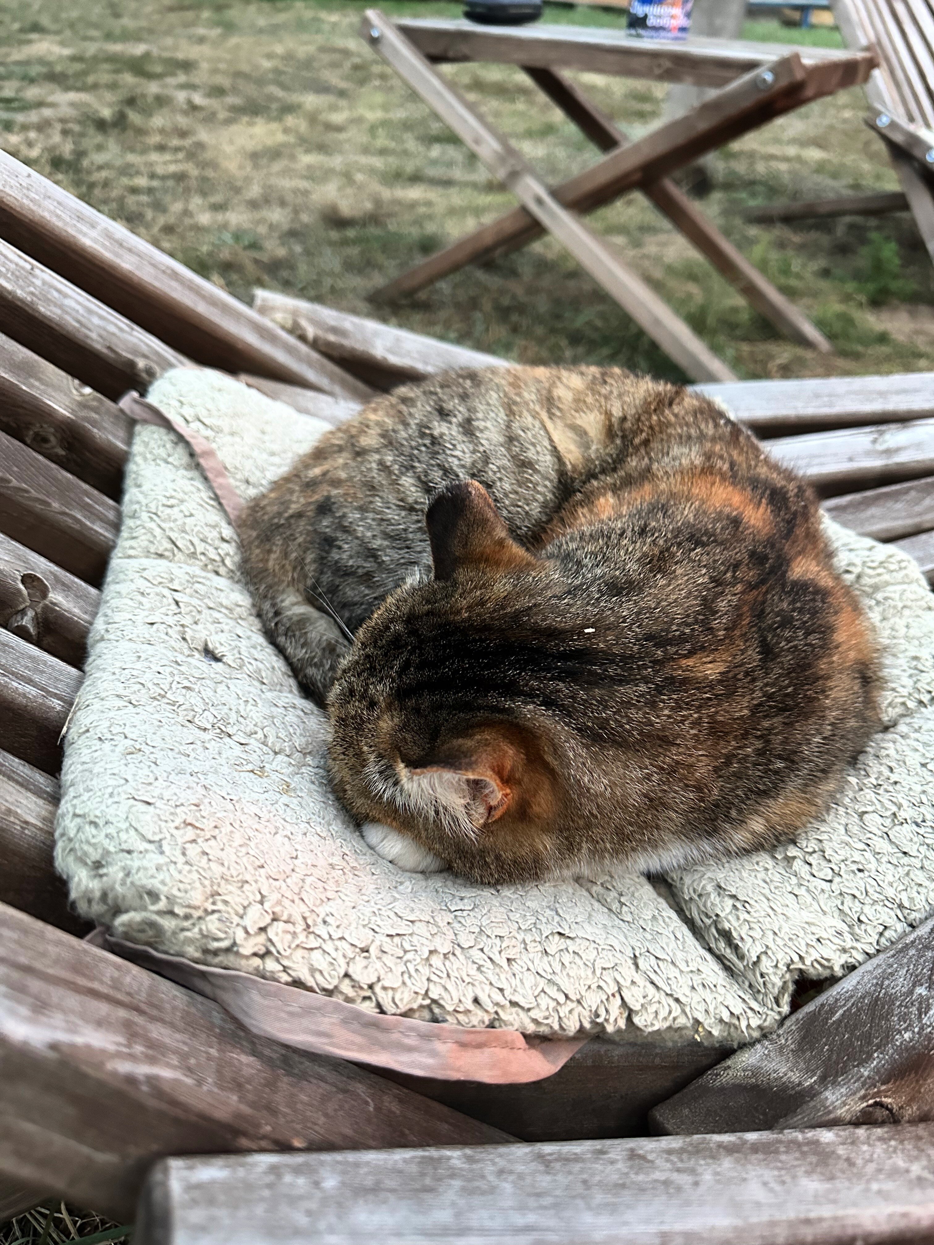 Фото Этно Дом Байкал