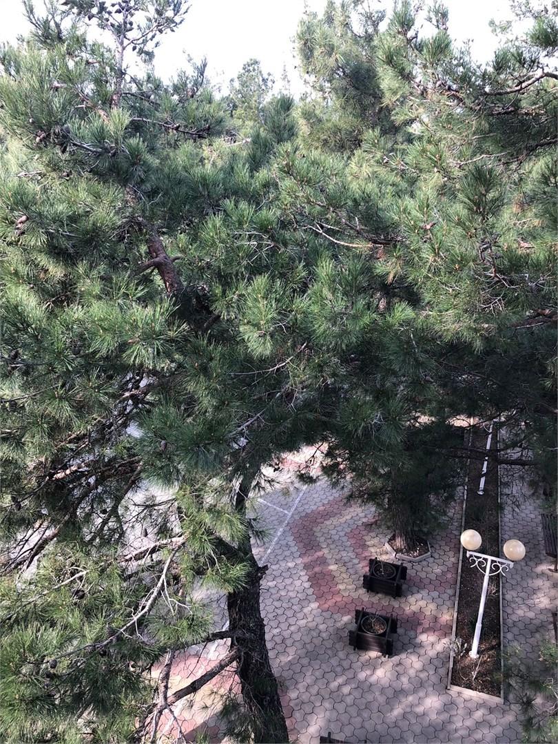 Фото Европа