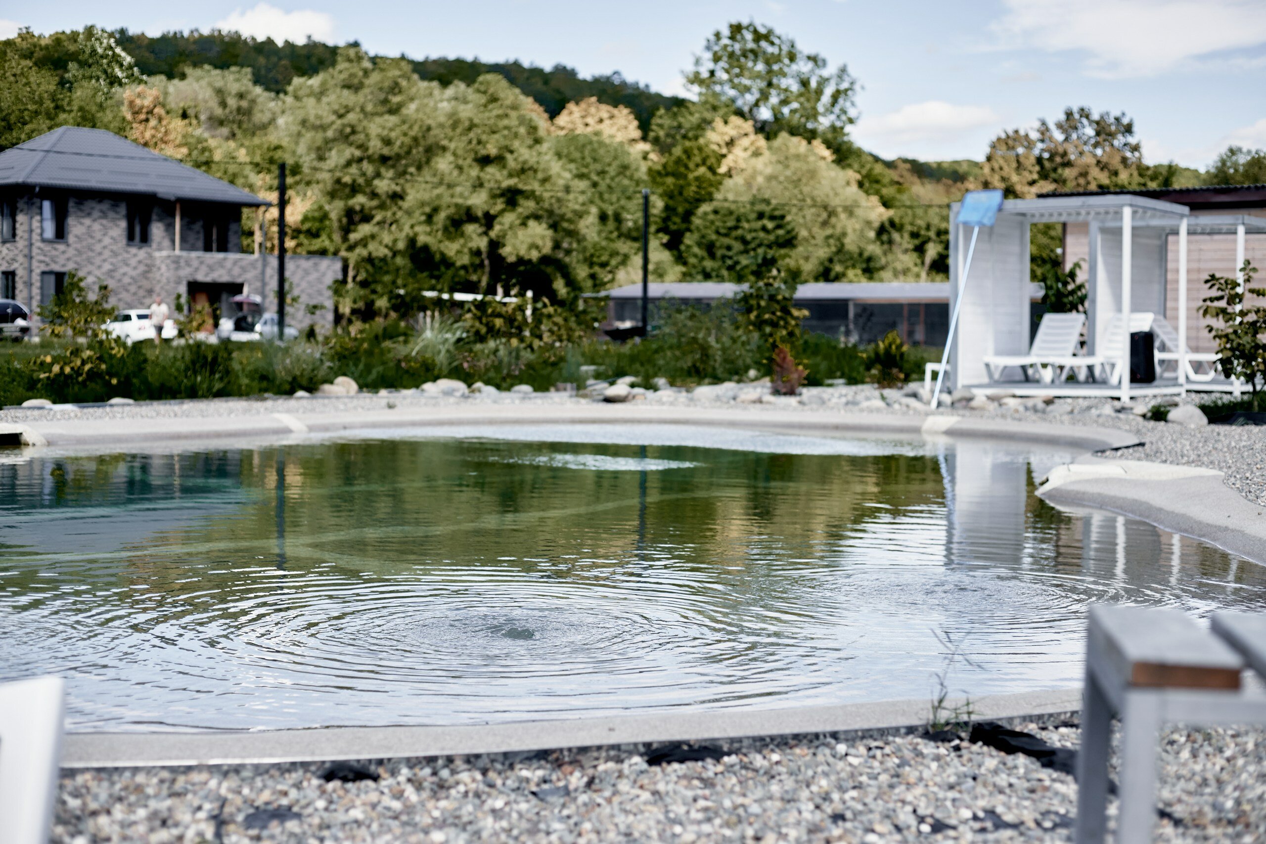 Фото Магия природы