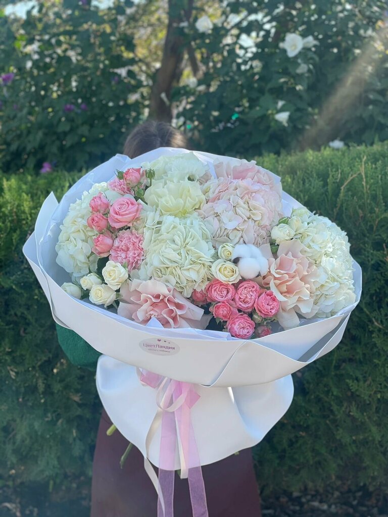 Евгений Алёшин