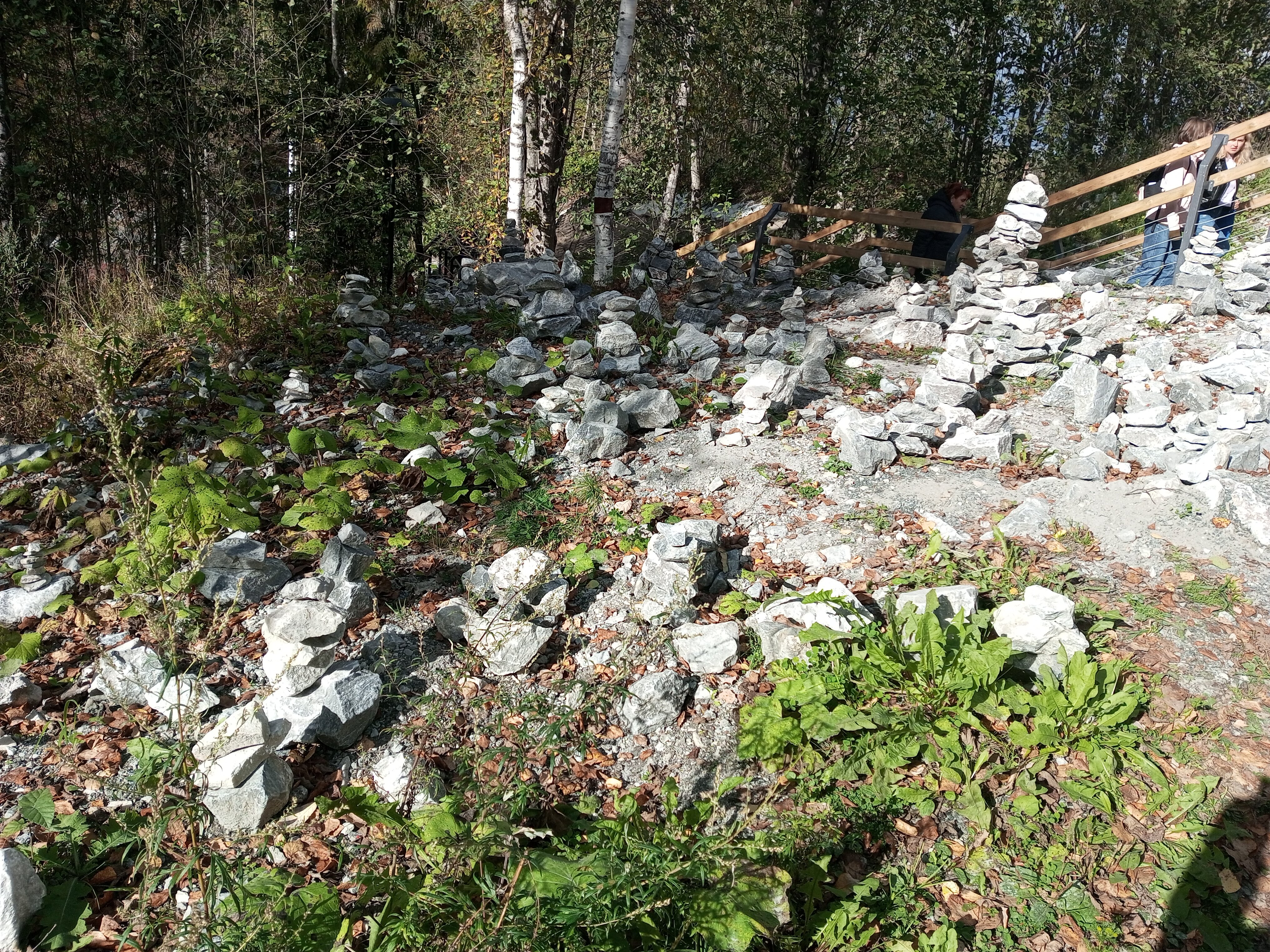 Фото Фортуна