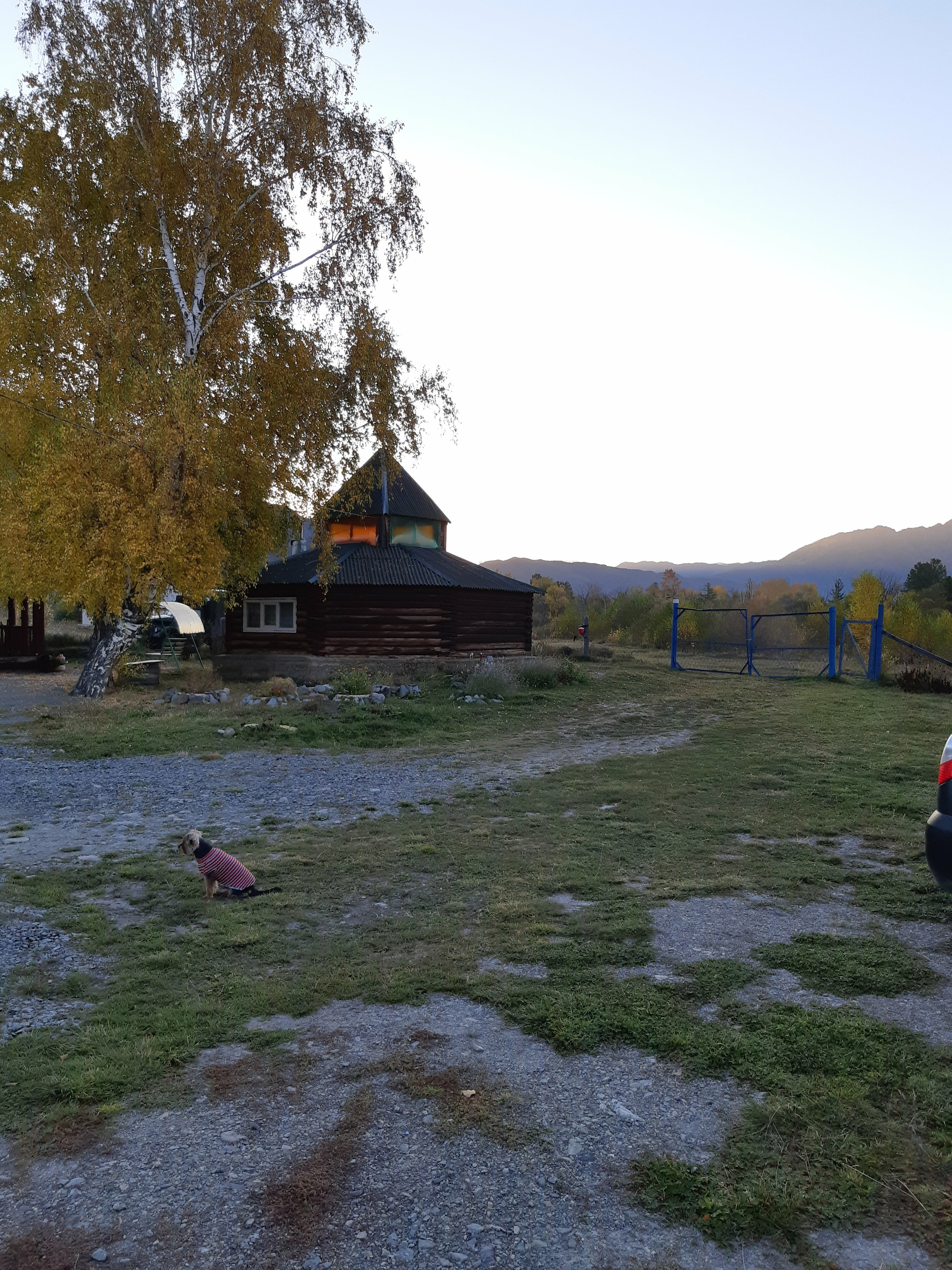 Фото Фазенда