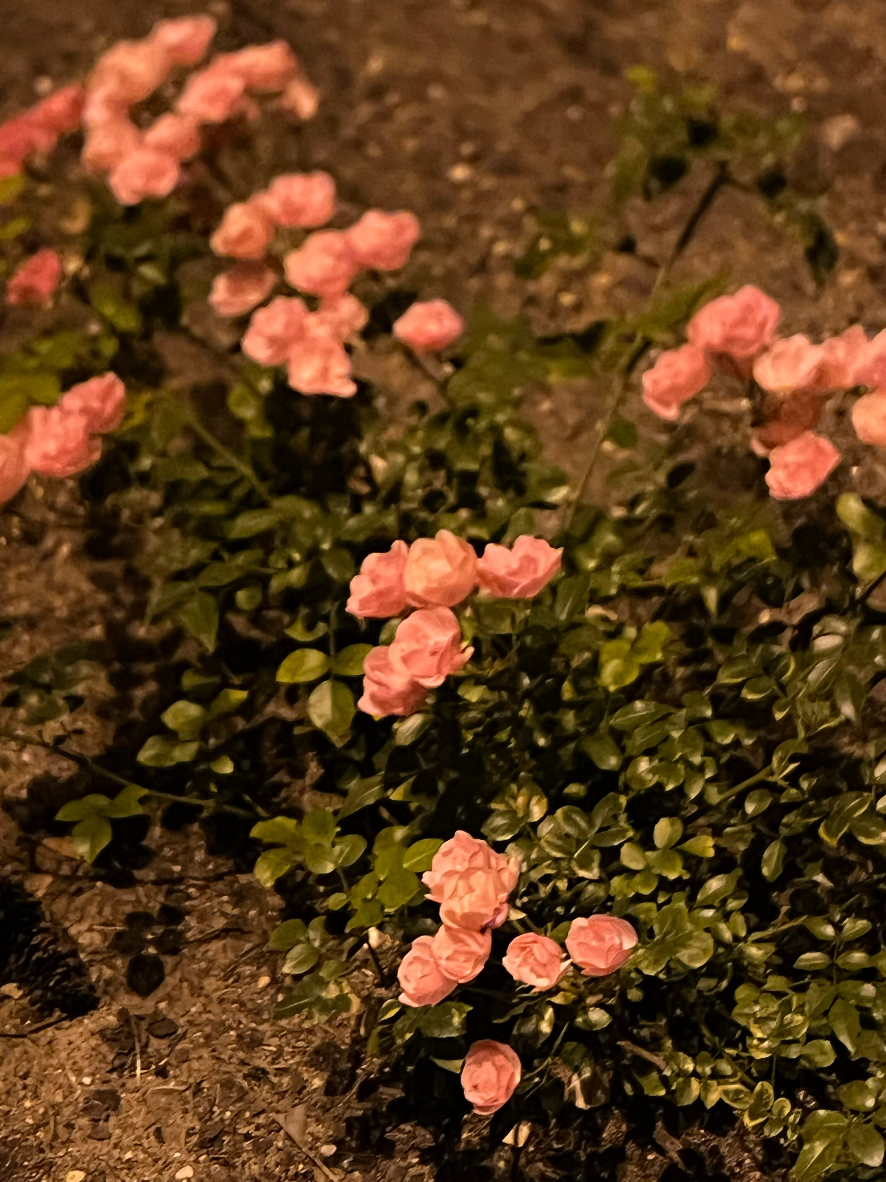 Фото МГИМО Отель