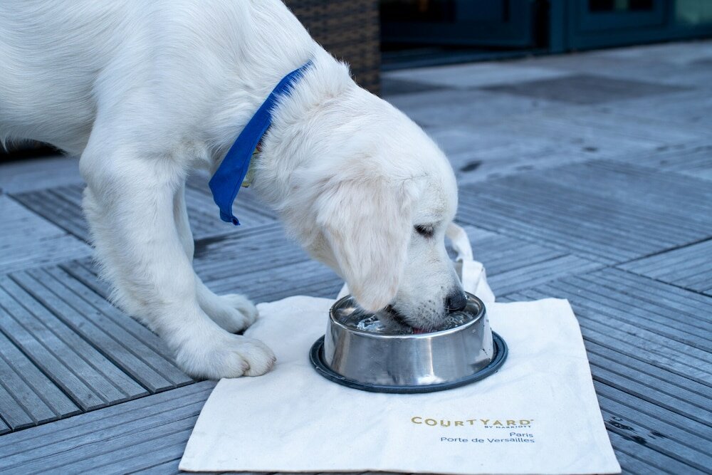 Фото Courtyard by Marriott Paris Porte de Versailles