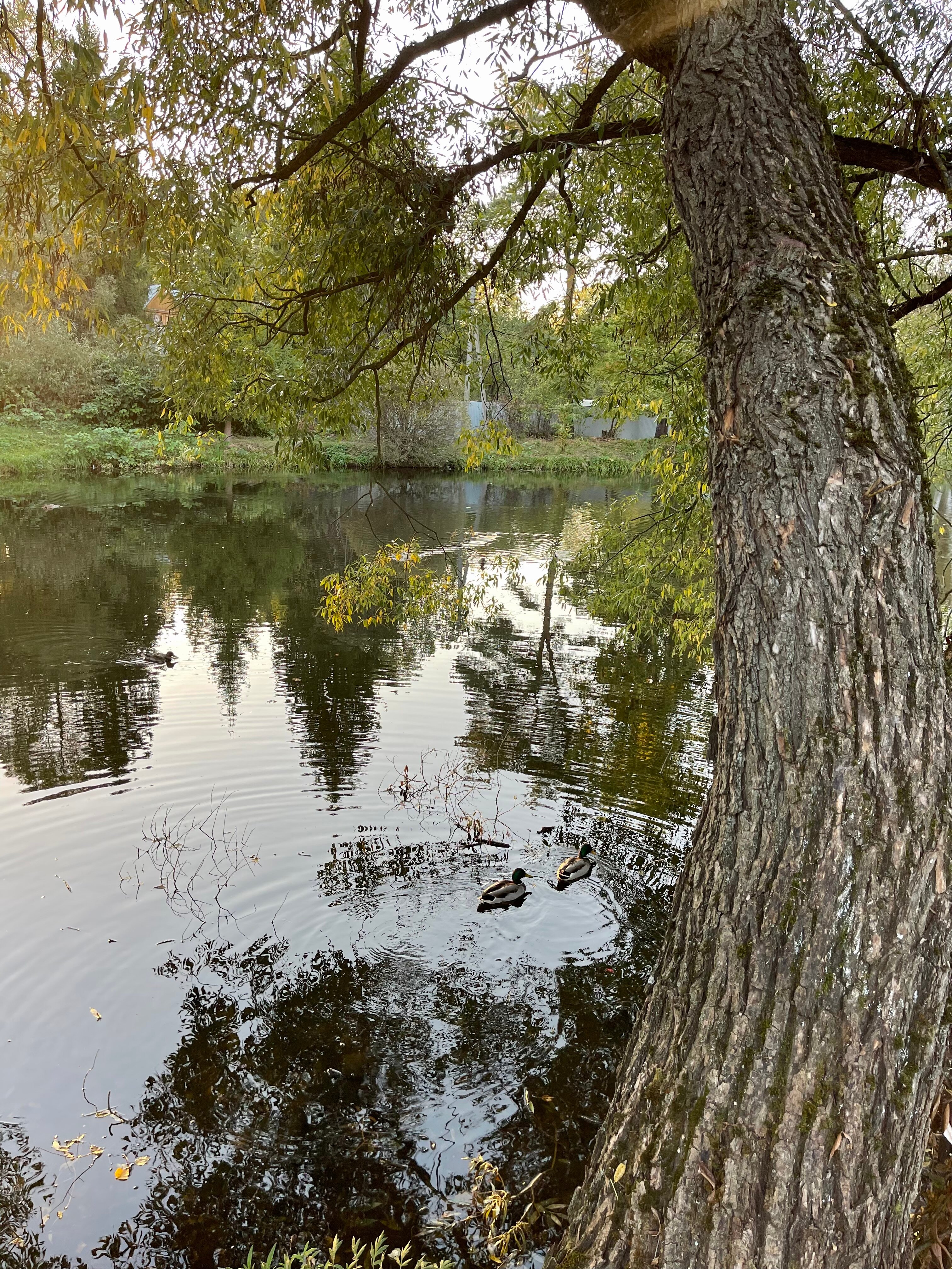 Фото Замок у художника