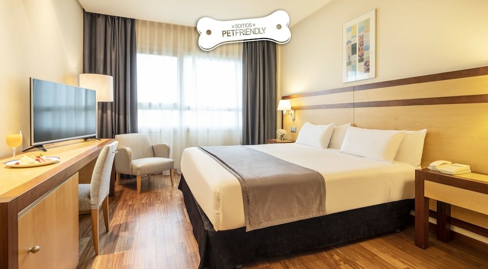 Фото Hotel Ilunion Pio XII