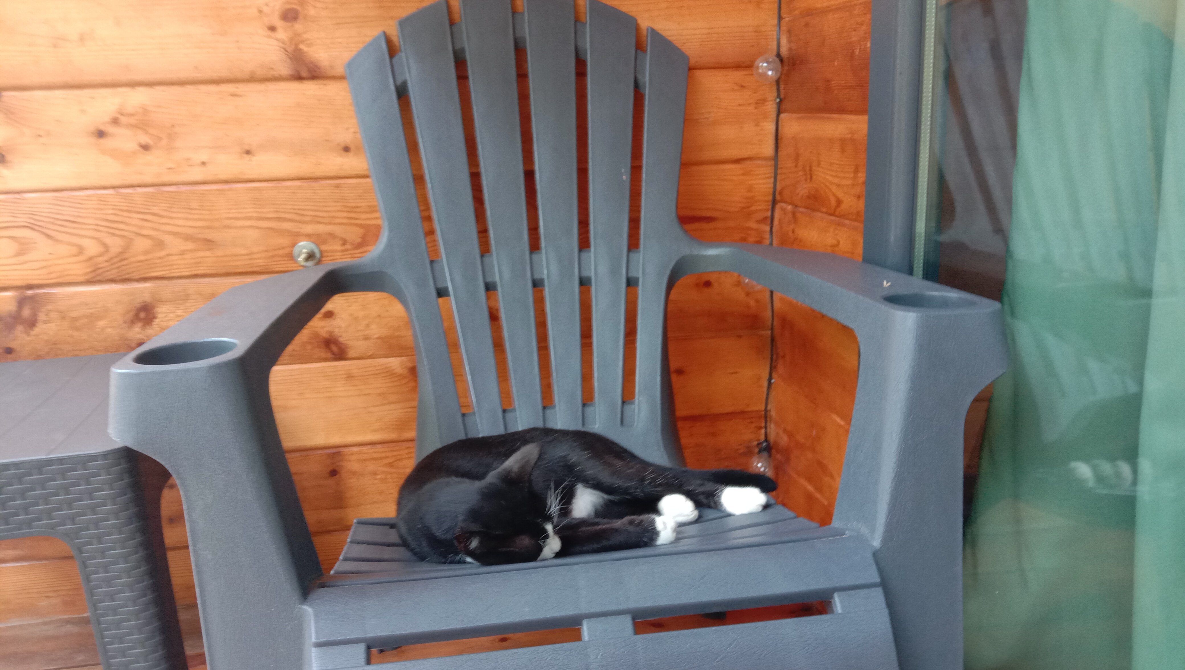 Фото Aqua resort Dacha