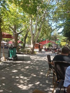 Ataturk Park (Isparta, Isparta Merkez, Kutlubey Mah., Atatürk Parkı), park