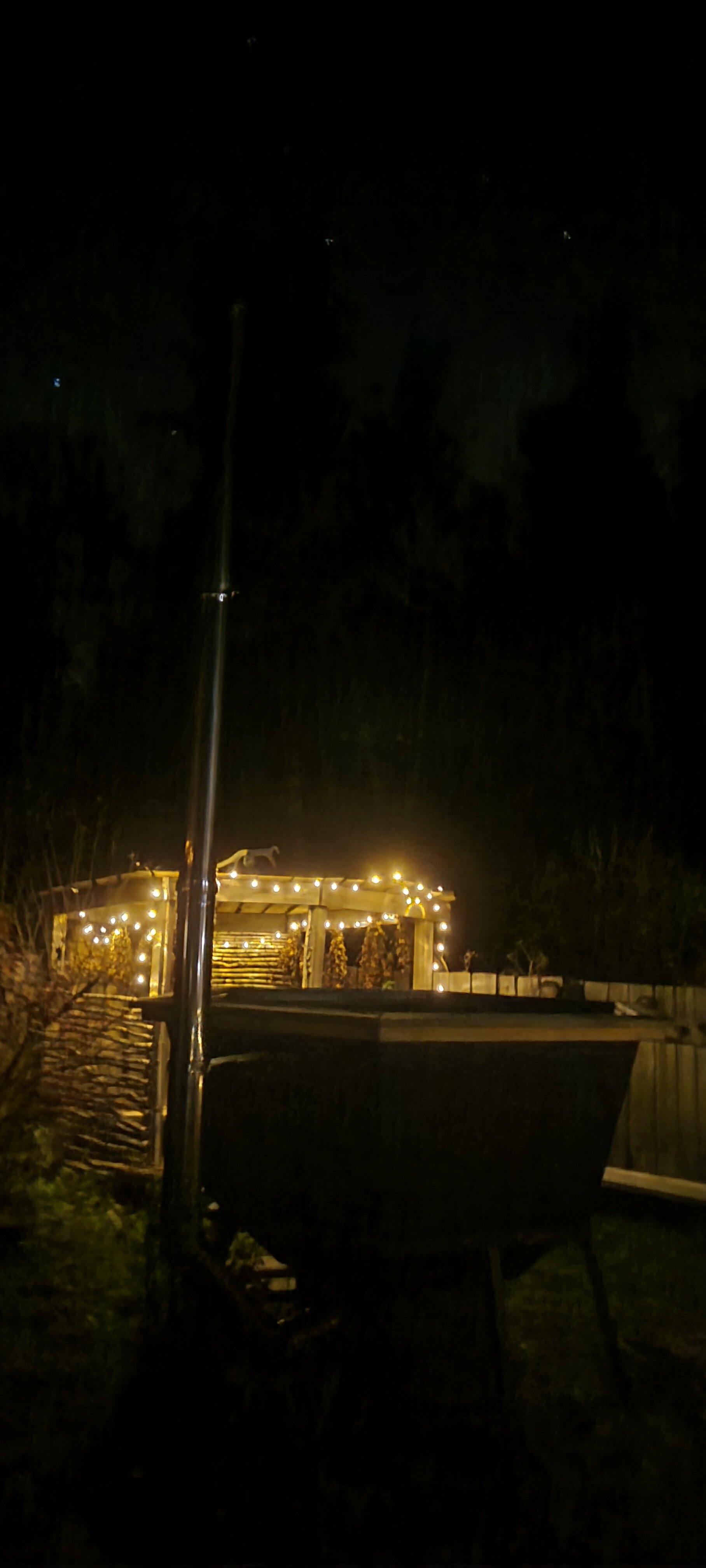 Фото Глэмпинг Стрекоза