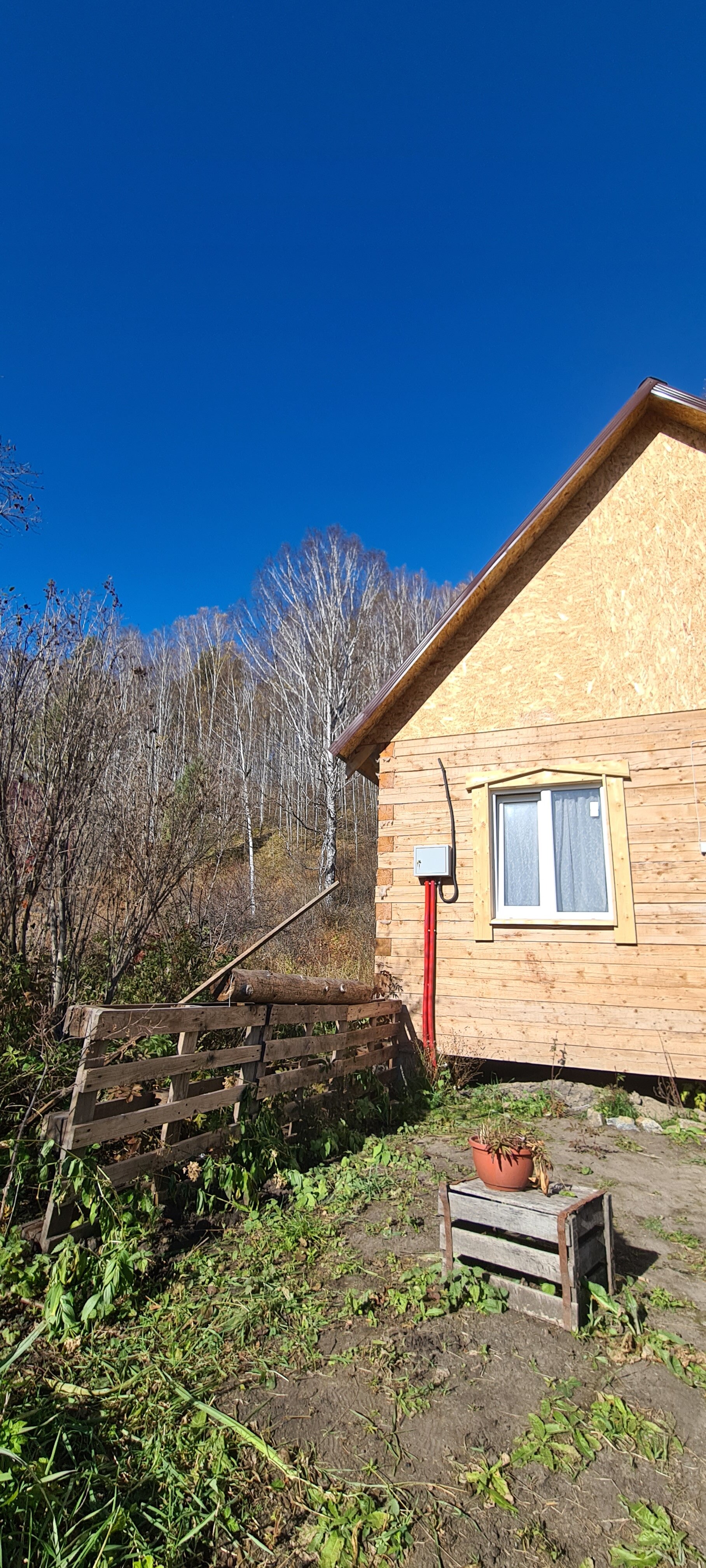 Фото Глэмпинг Стрекоза