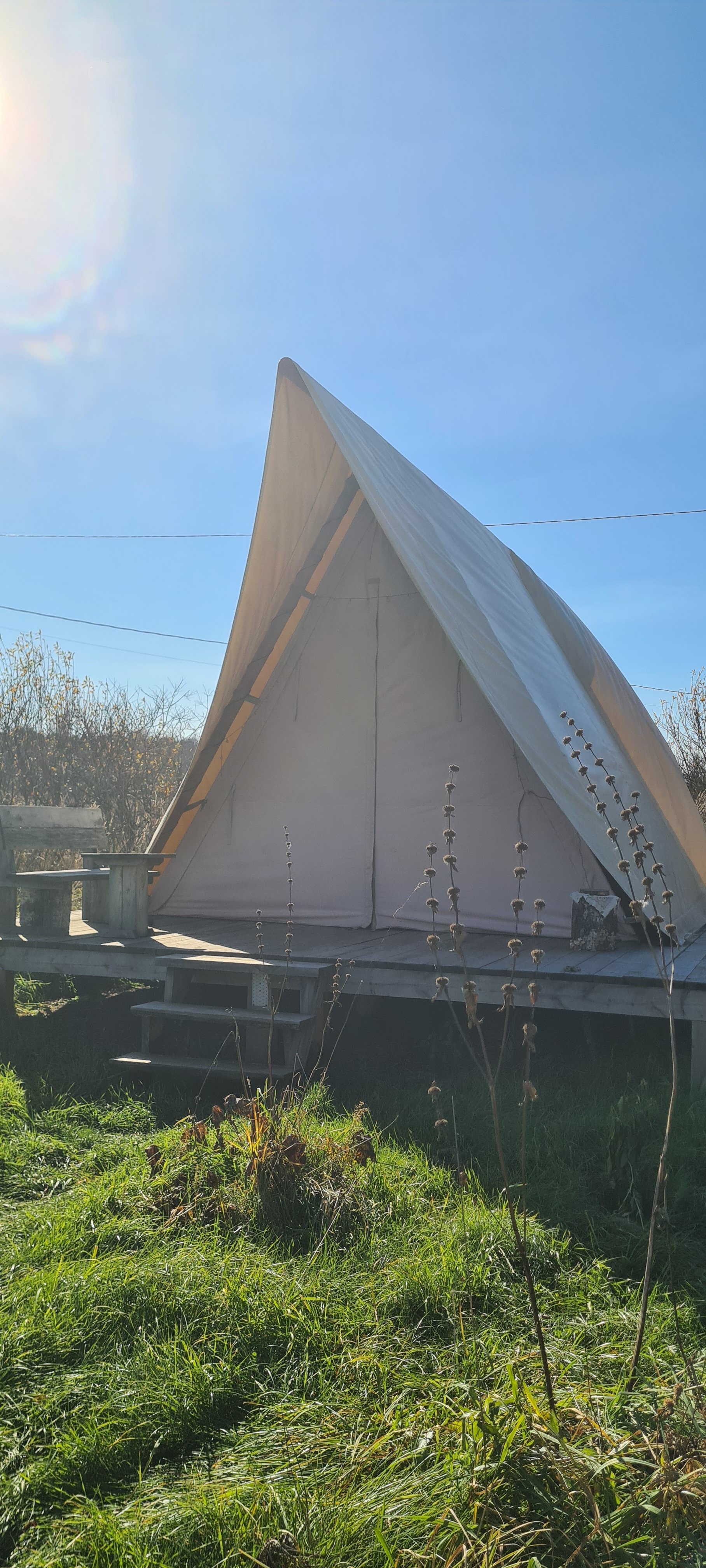 Фото Глэмпинг Стрекоза