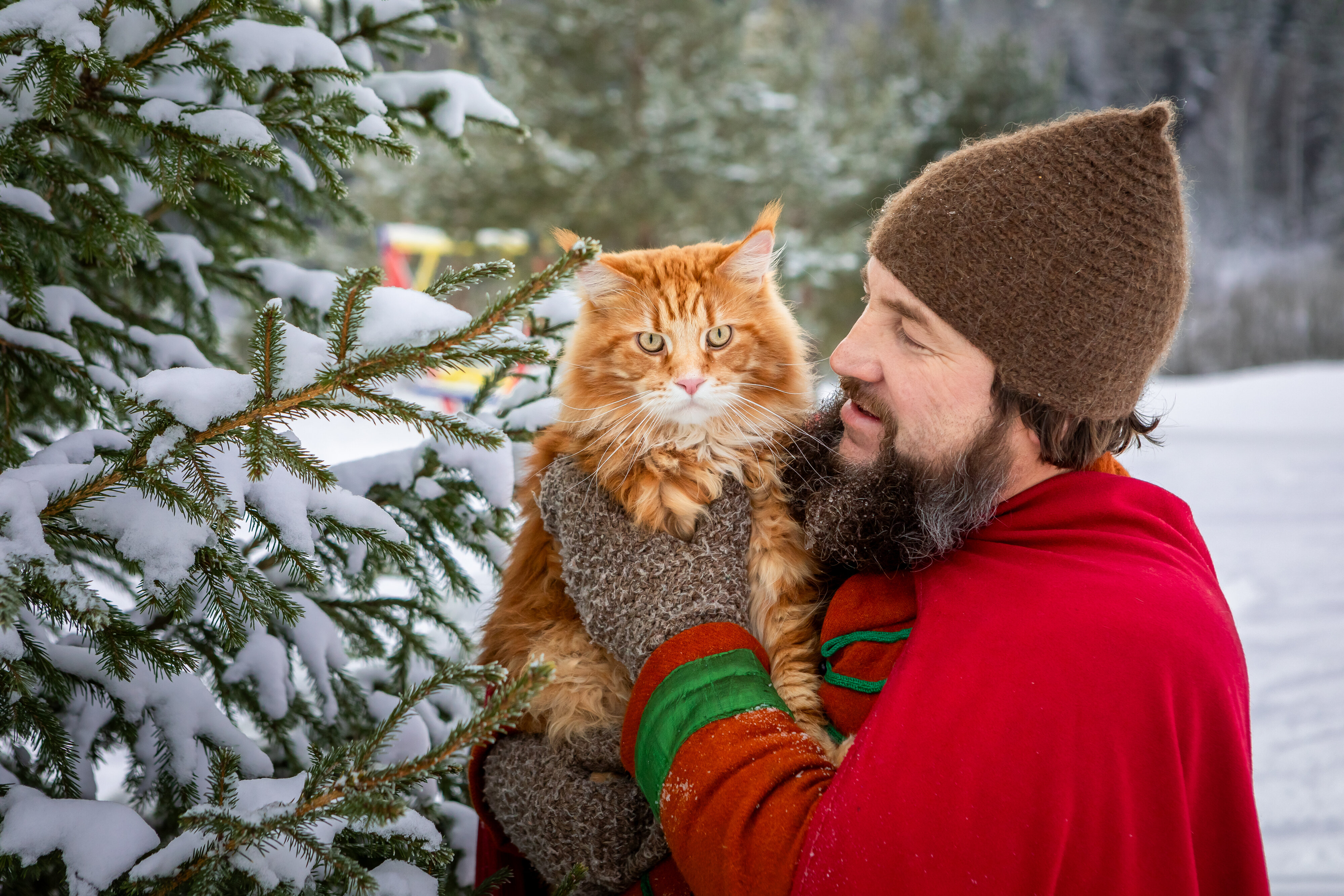 Фото Варяжская дружина