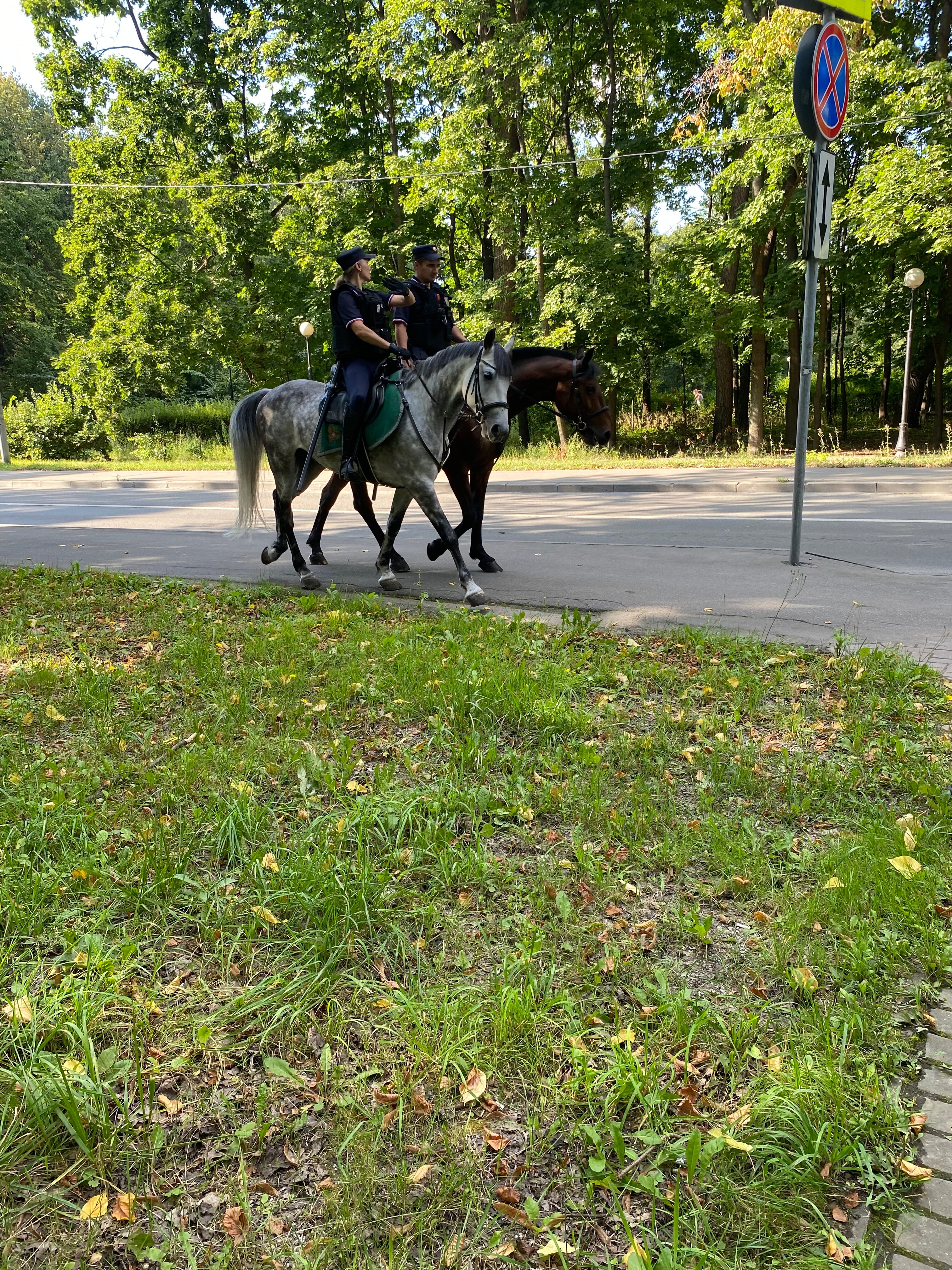 Фото Minima Динамо