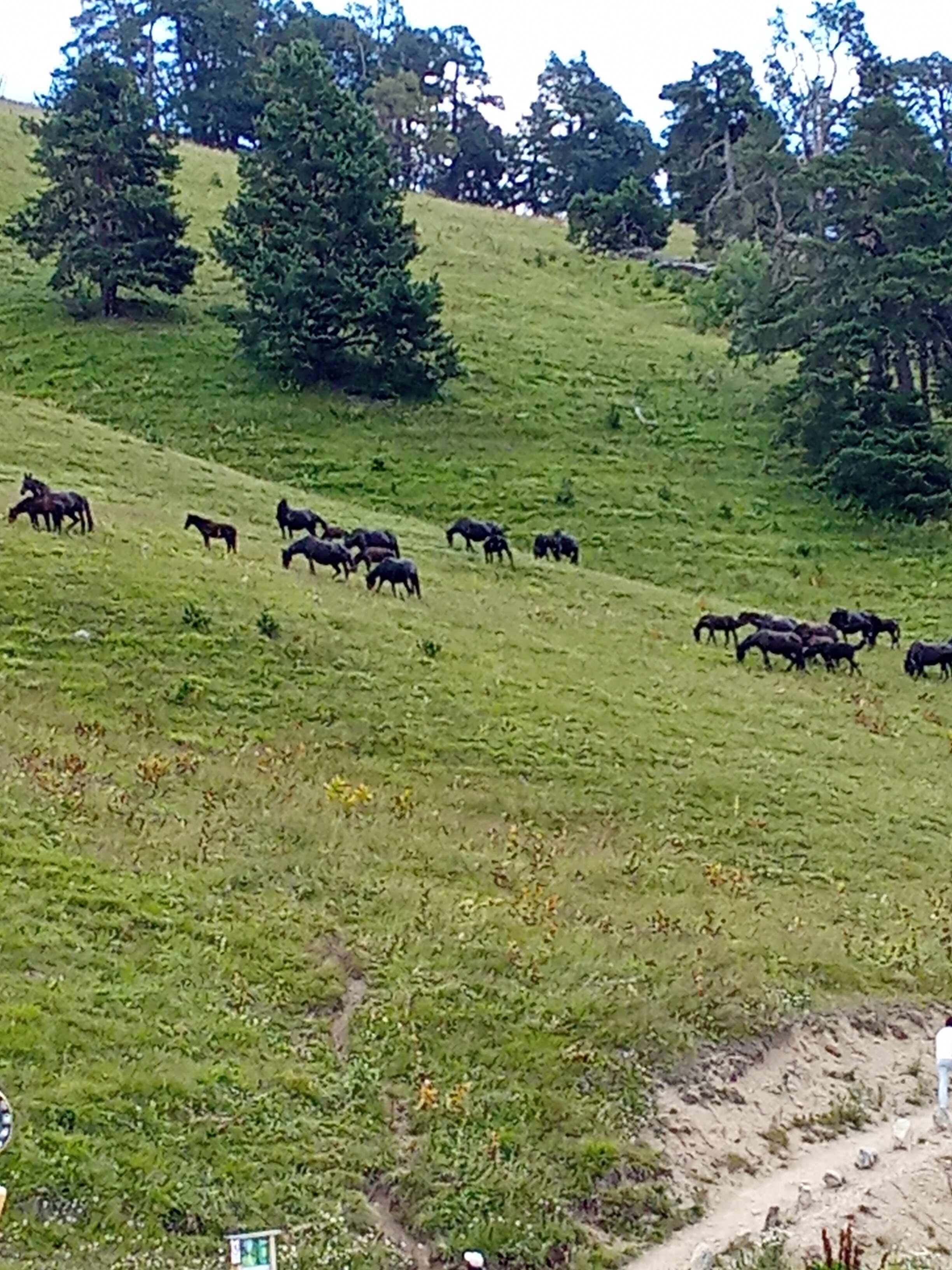 Фото Сказка Снежных Вершин