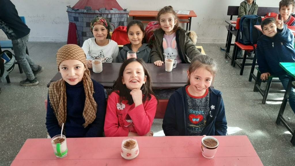 Primary school Alansheyhi Meadow Primary School, Vezirkopru, photo