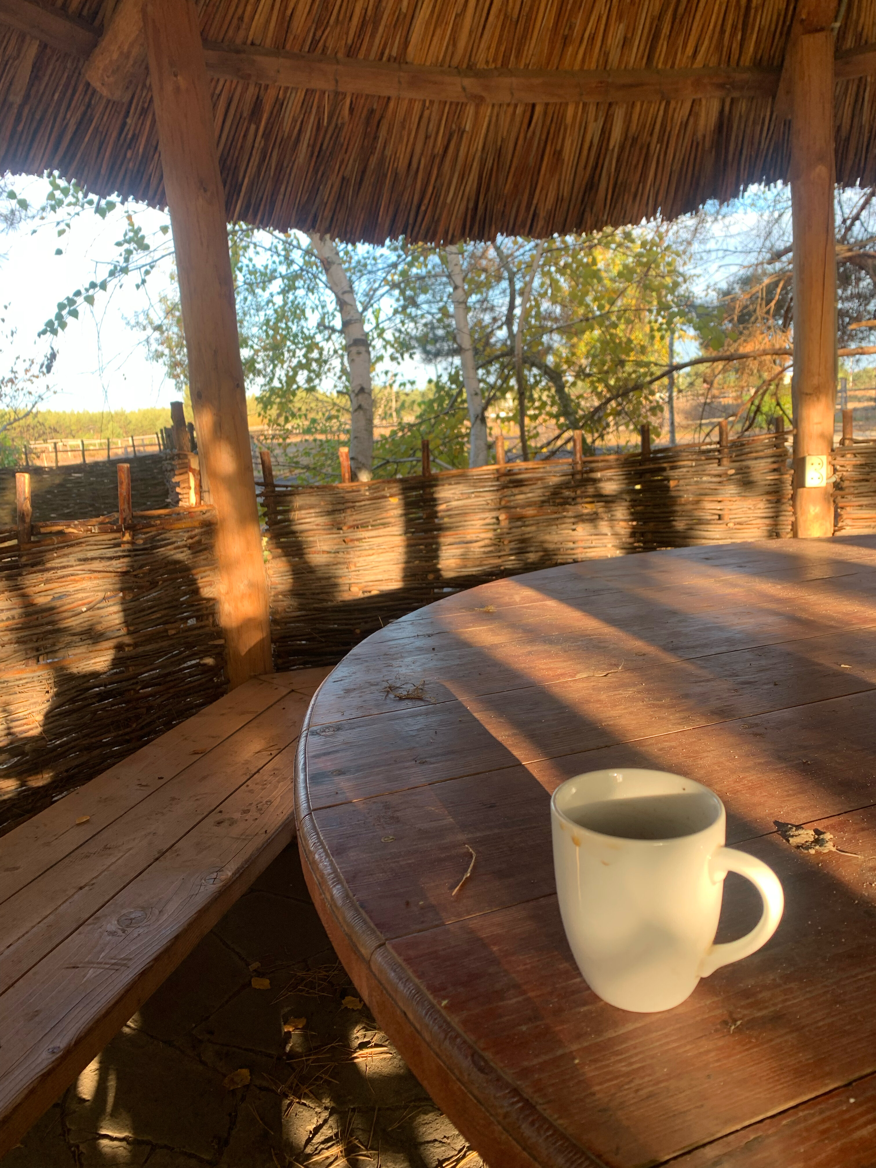 Фото Лесная