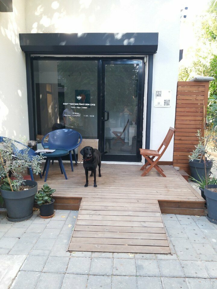 Art studio Kun Art Space, Adana, photo