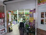 Добрый сад (ulitsa Rabochego Shtaba, 134/2), gardening shop