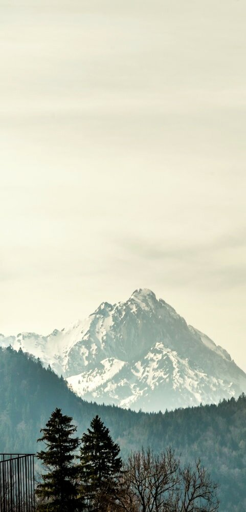 Фото Ameron Neuschwanstein Alpsee Resort & SPA