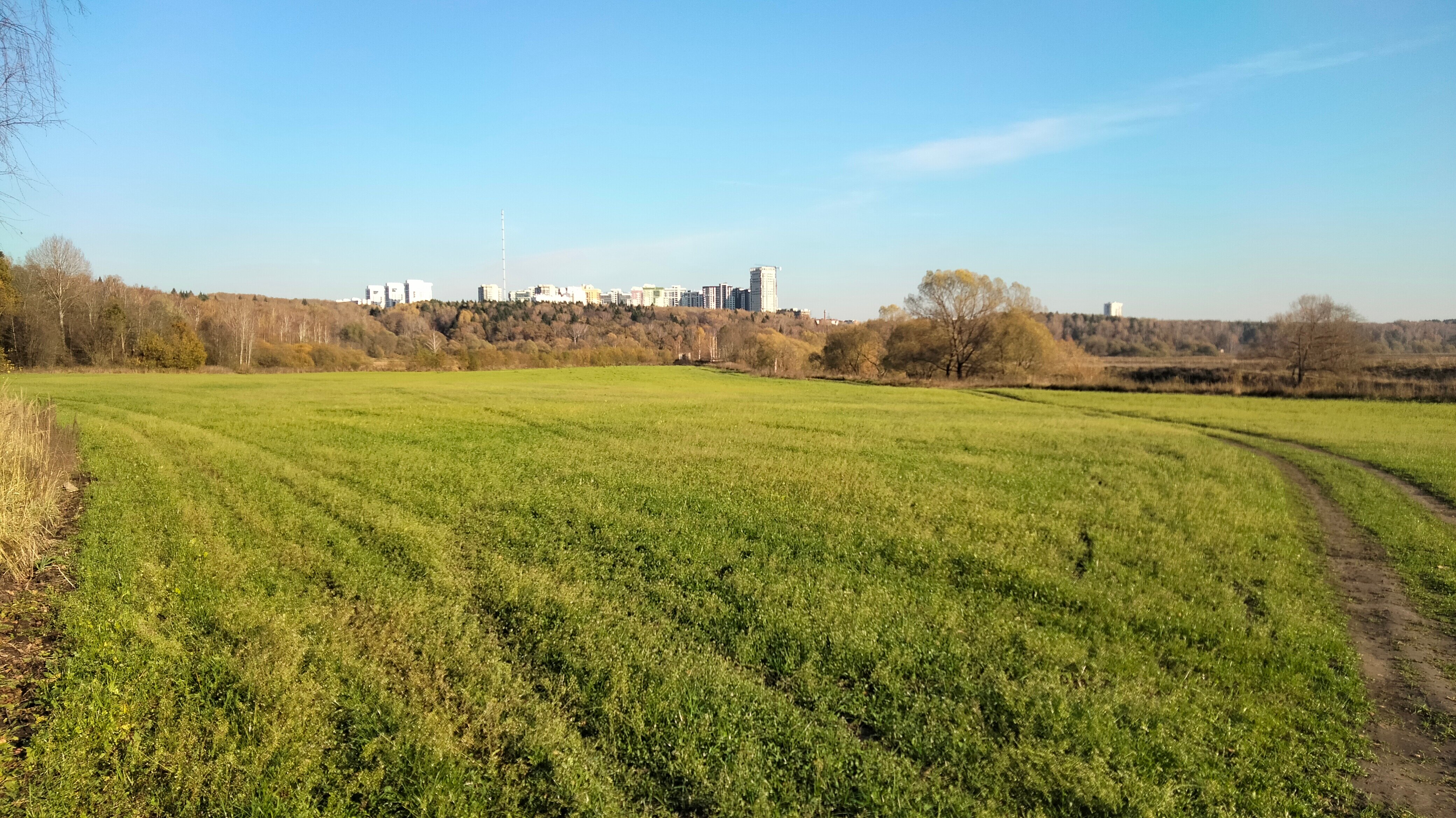 Фото Код здоровья